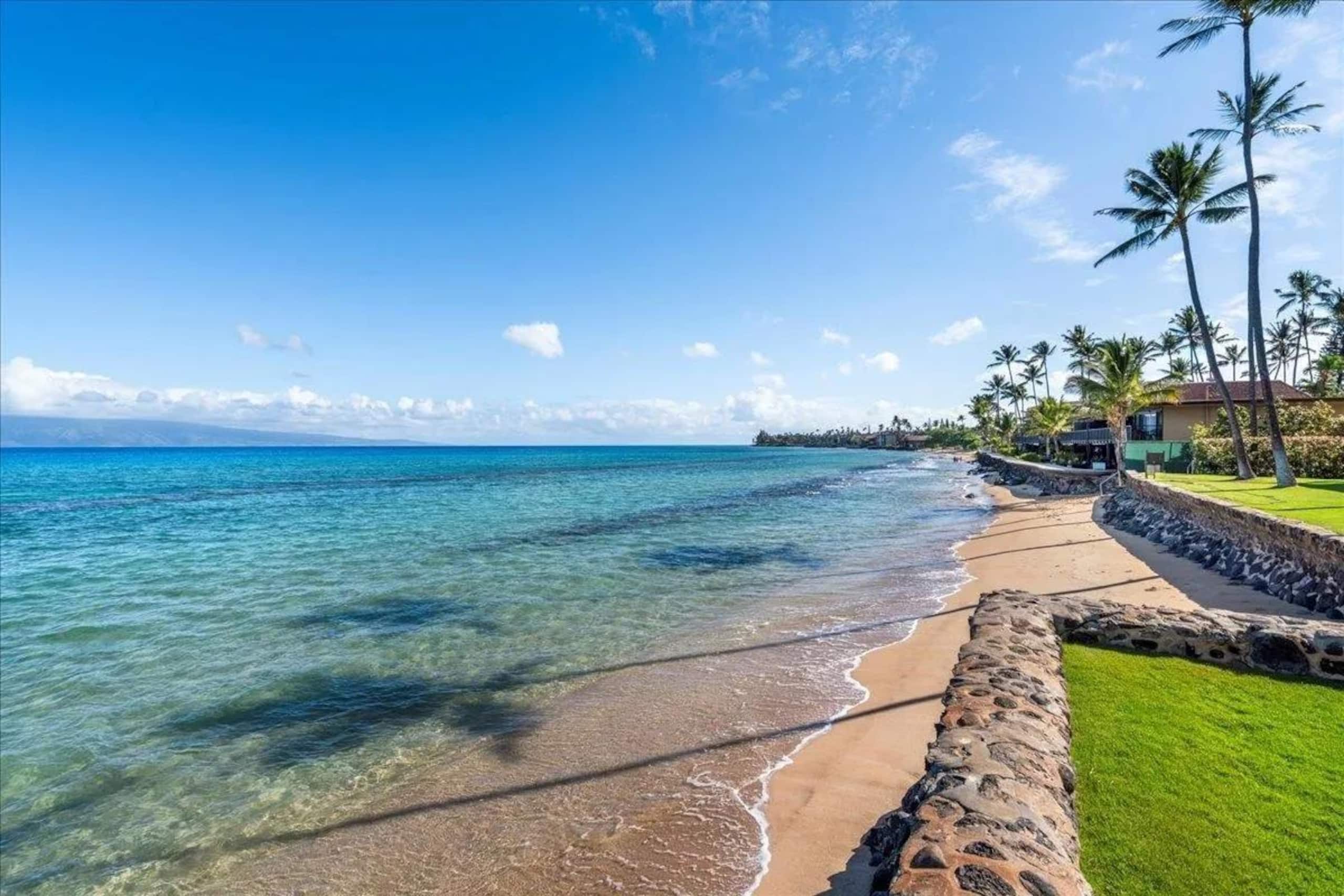 Condo in Lahaina · ★4.96 · Studio · 1 bed · 1 private bath - Image 31