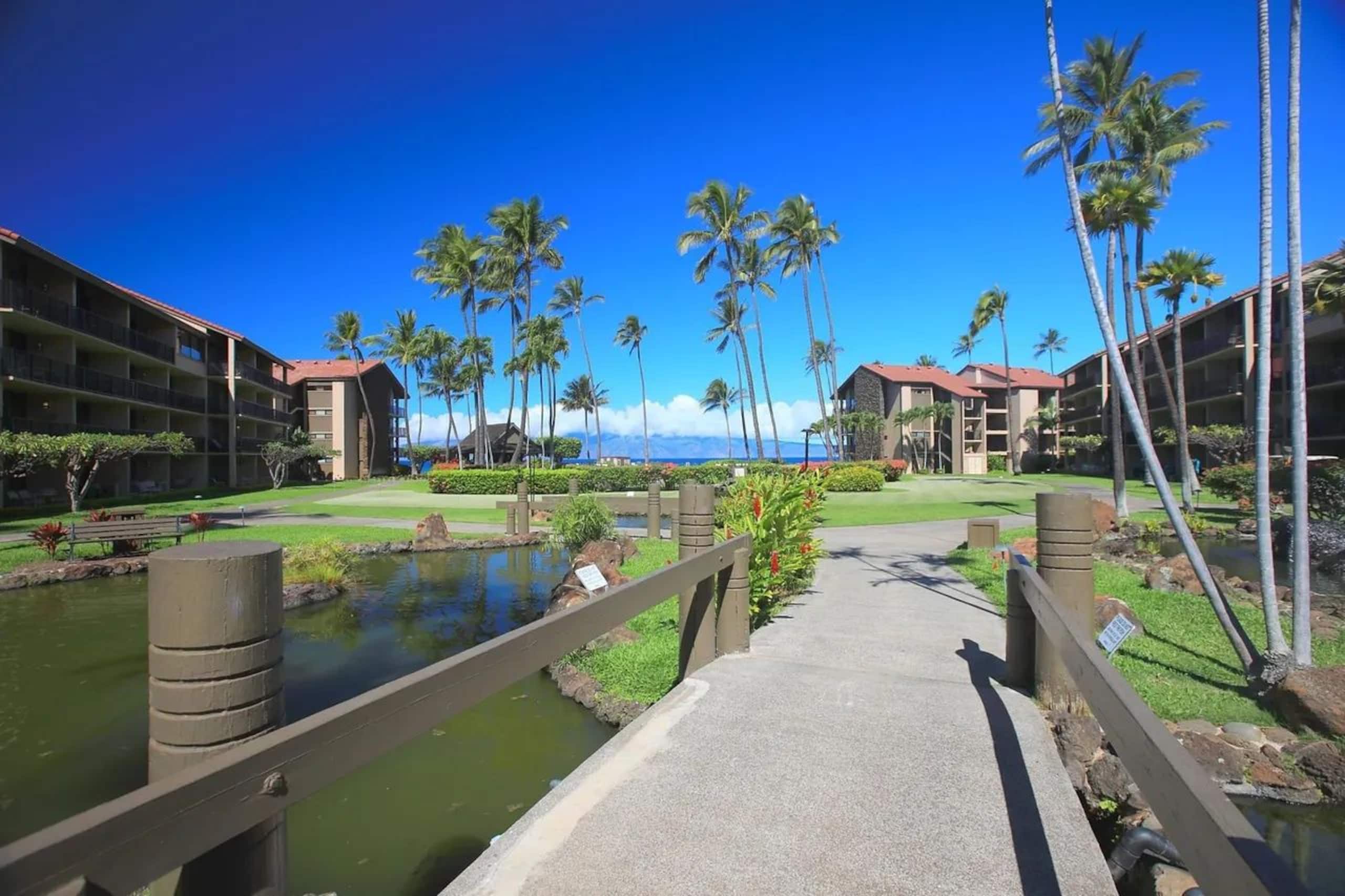 Condo in Lahaina · ★4.96 · Studio · 1 bed · 1 private bath - Image 23