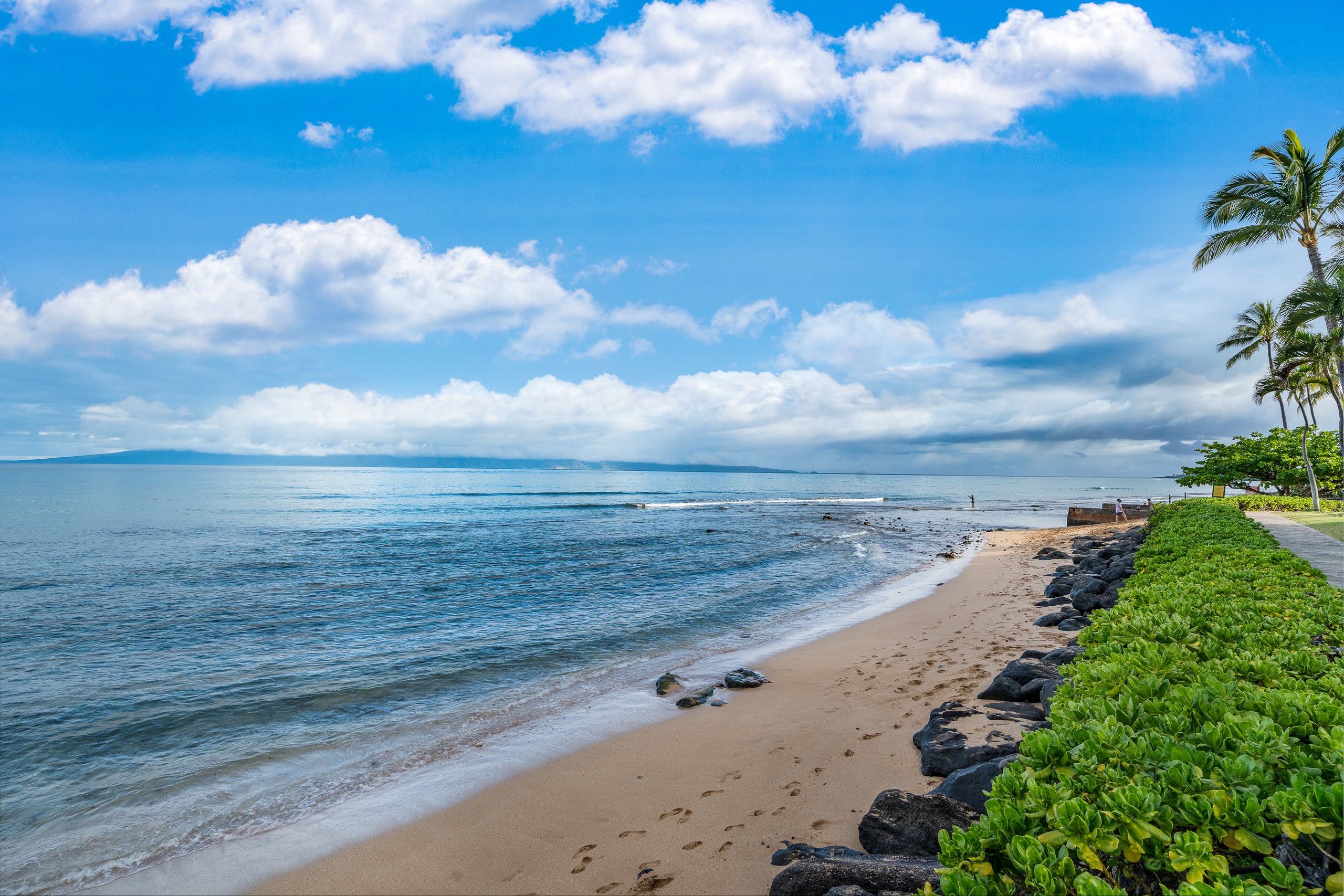 Condo in Lahaina · ★5.0 · 2 bedrooms · 3 beds · 2 baths - Image 48