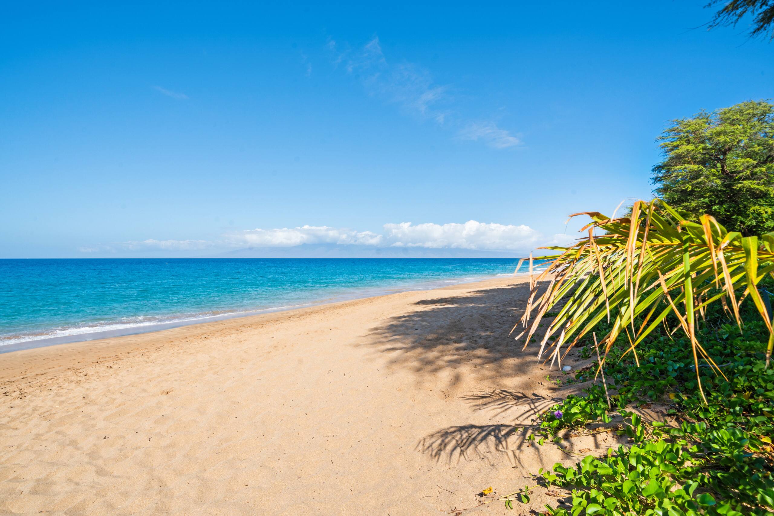 Condo in Lahaina · ★5.0 · 1 bedroom · 2 beds · 1 bath - Image 56