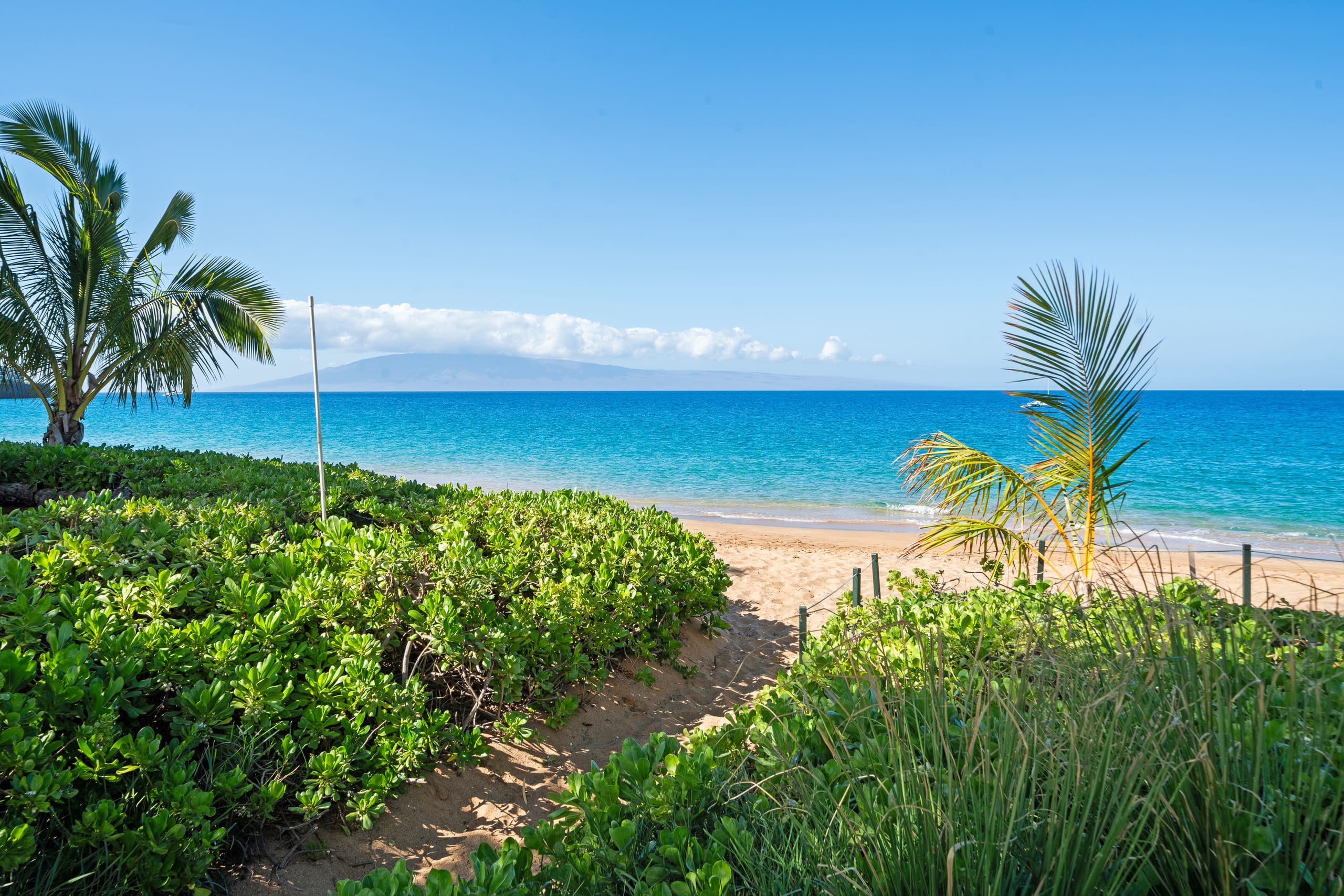 Condo in Lahaina · ★5.0 · 1 bedroom · 2 beds · 1 bath - Image 53
