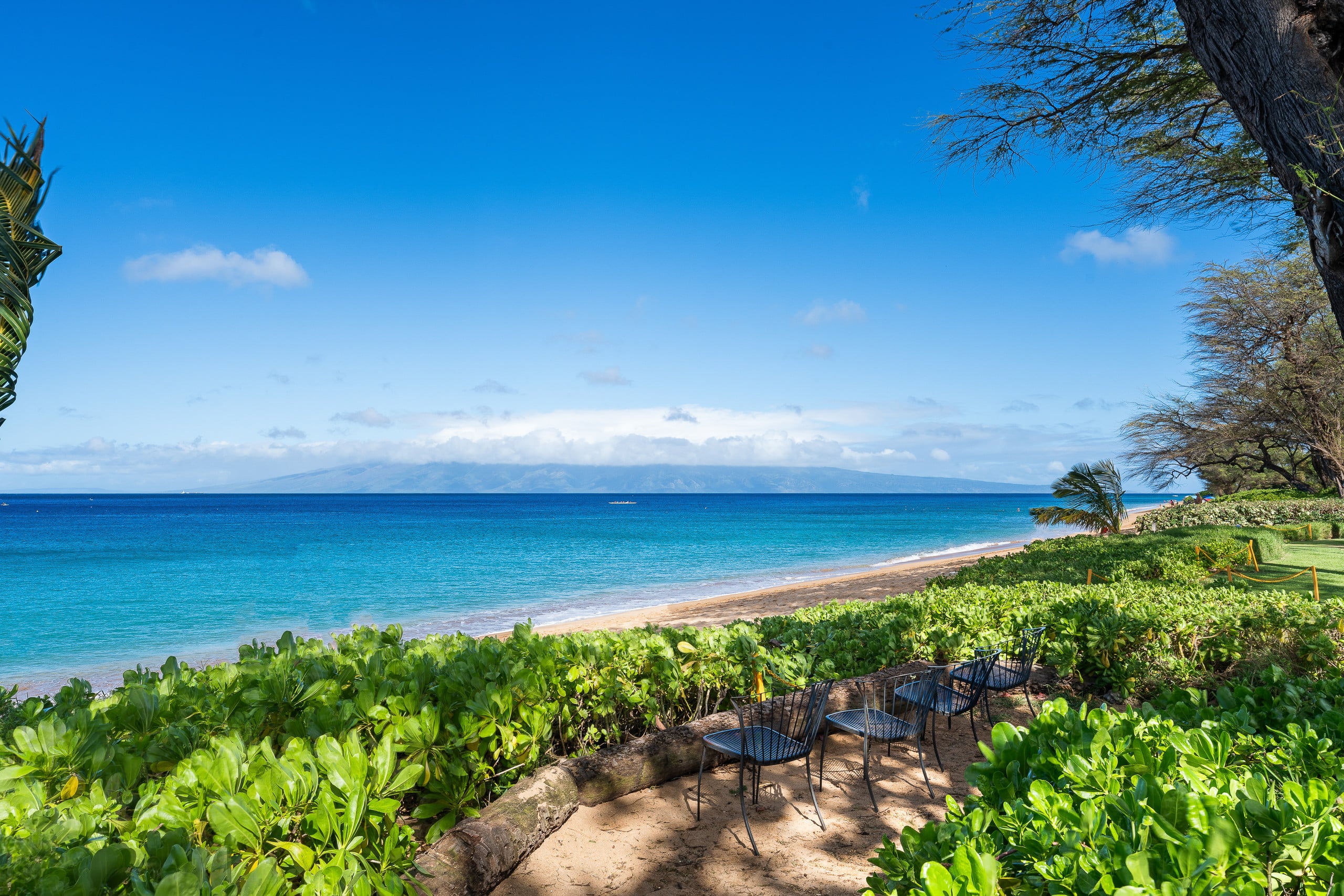 Condo in Lahaina · ★5.0 · 1 bedroom · 2 beds · 1 bath - Image 55