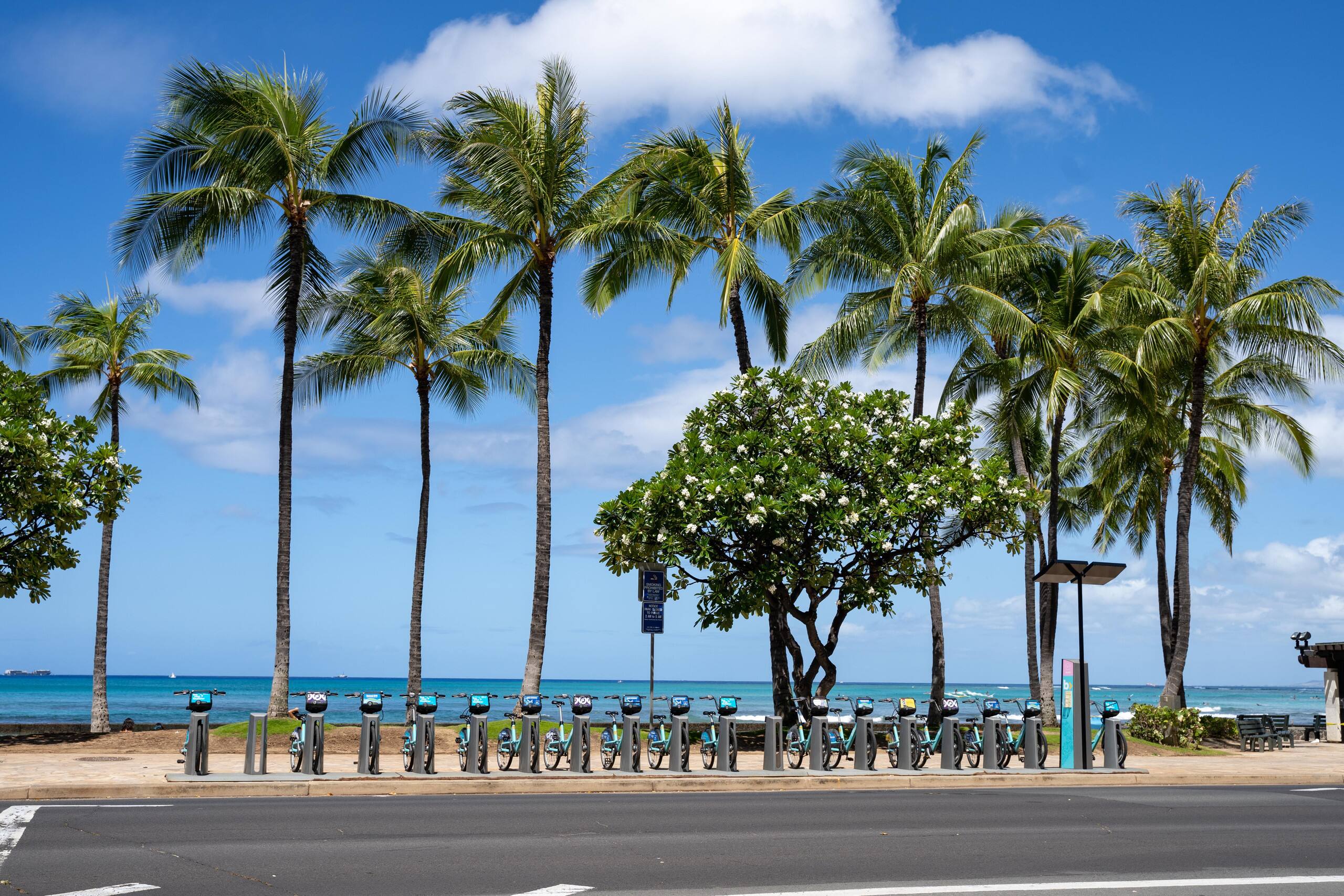Condo in Honolulu · ★4.46 · 1 bedroom · 2 beds · 1 shared bath - Image 37