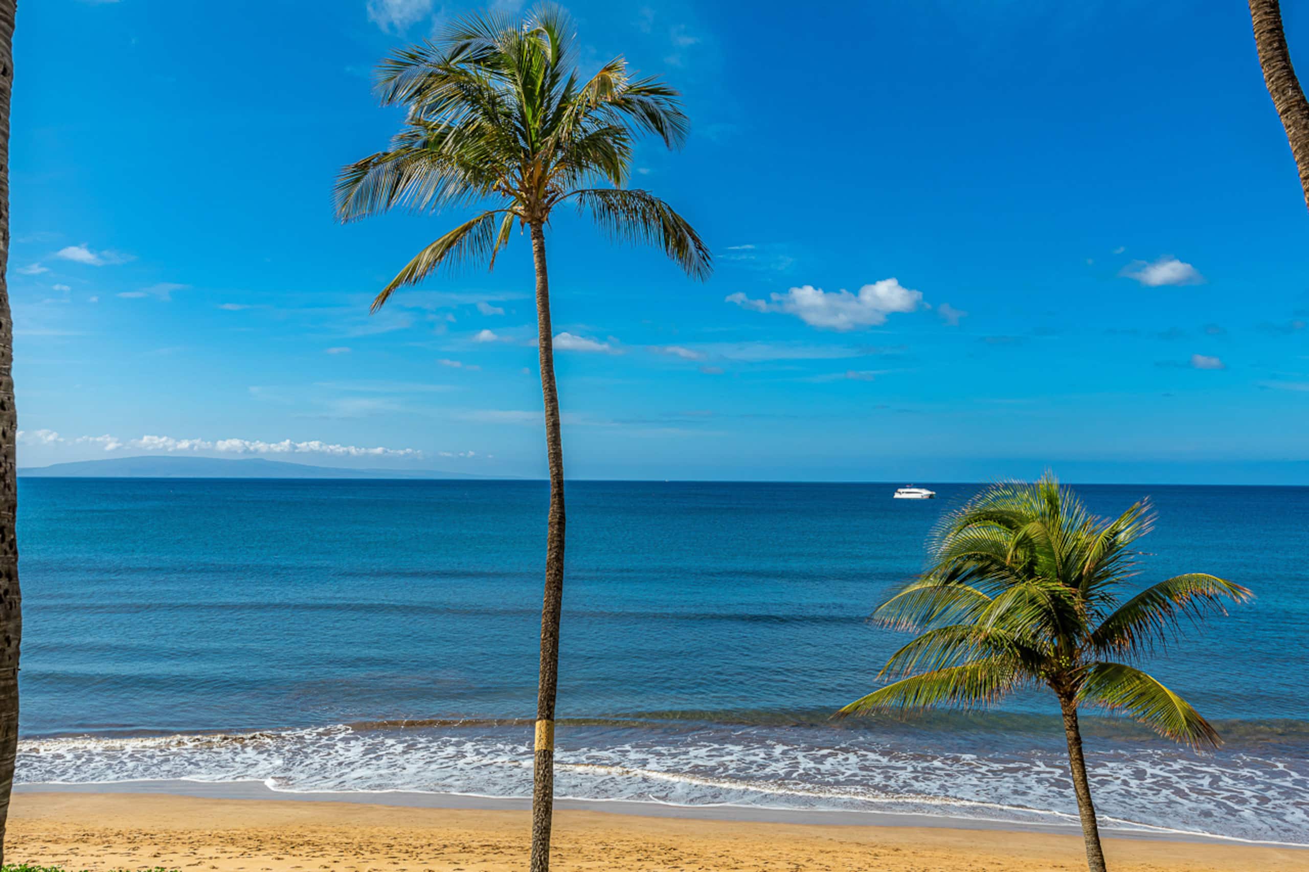 Condo in Kihei · ★4.33 · 1 bedroom · 1 bed · 1 bath - Image 42