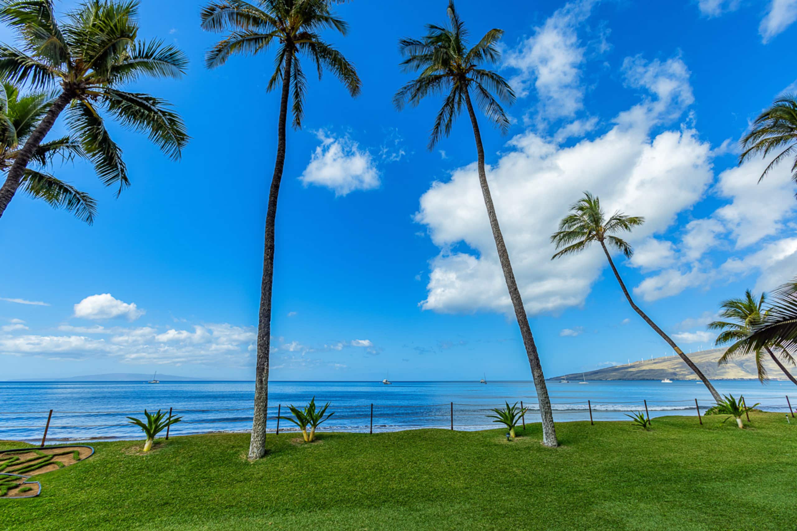 Condo in Kihei · ★4.33 · 1 bedroom · 1 bed · 1 bath - Image 37