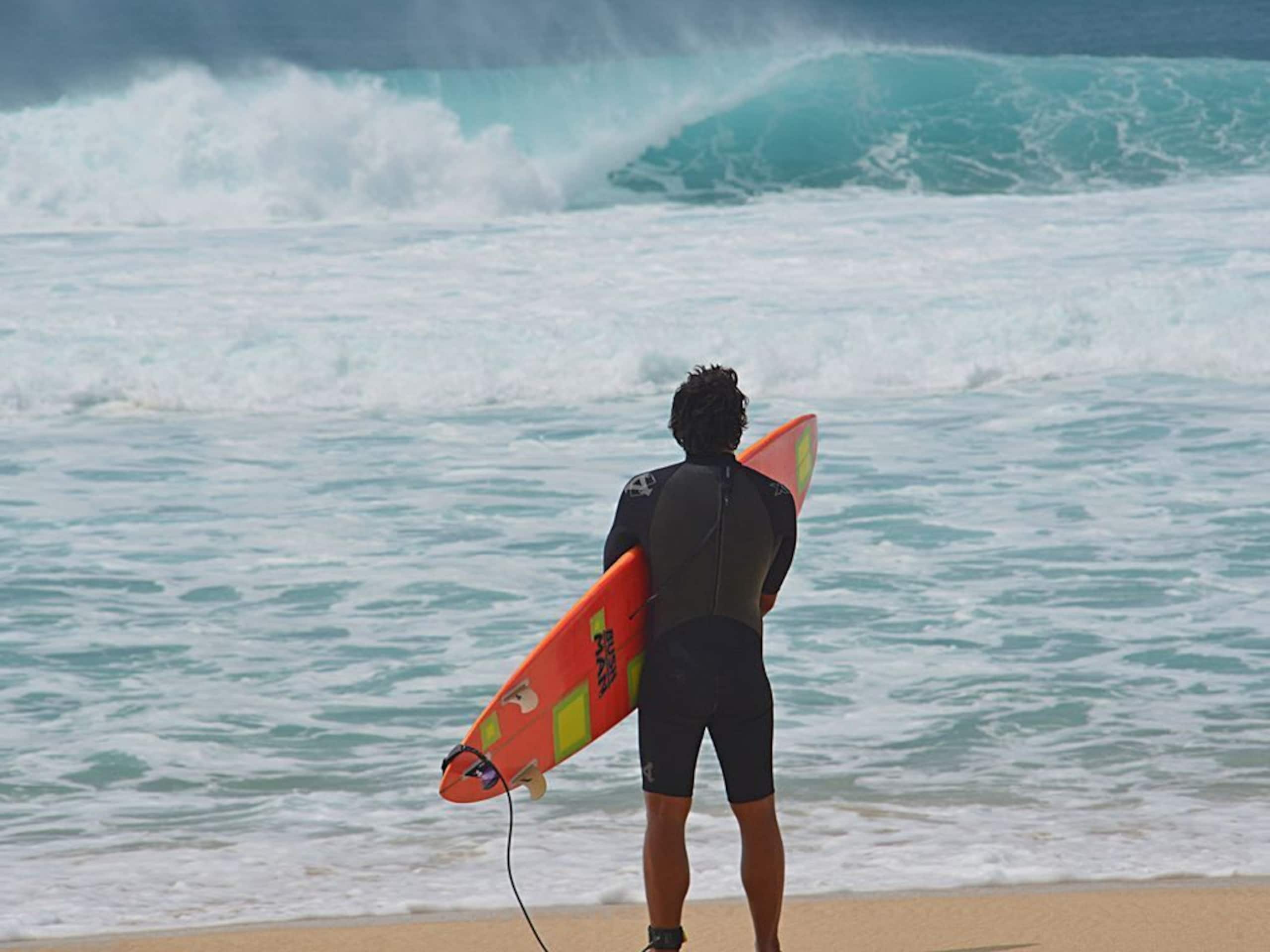 Magnificent Newly Renovated TBay Golf Course Condo - Image 62