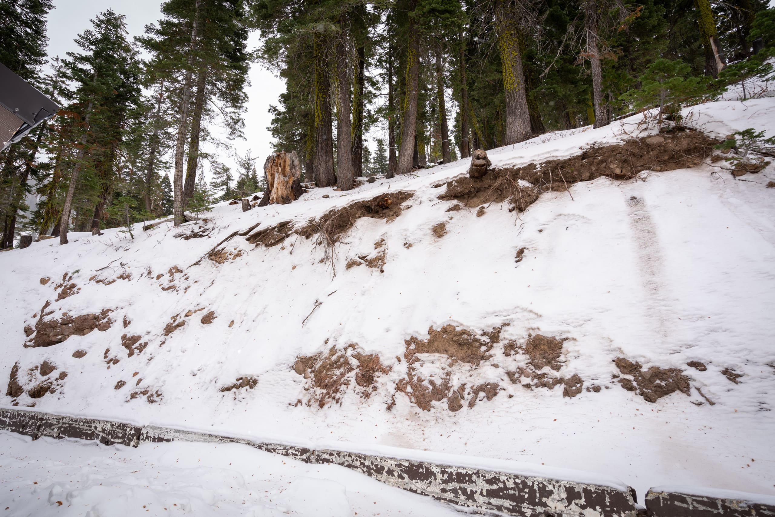 Alpine Meadows Ski & Hike Retreat, Sleeps 6 - Photo 27