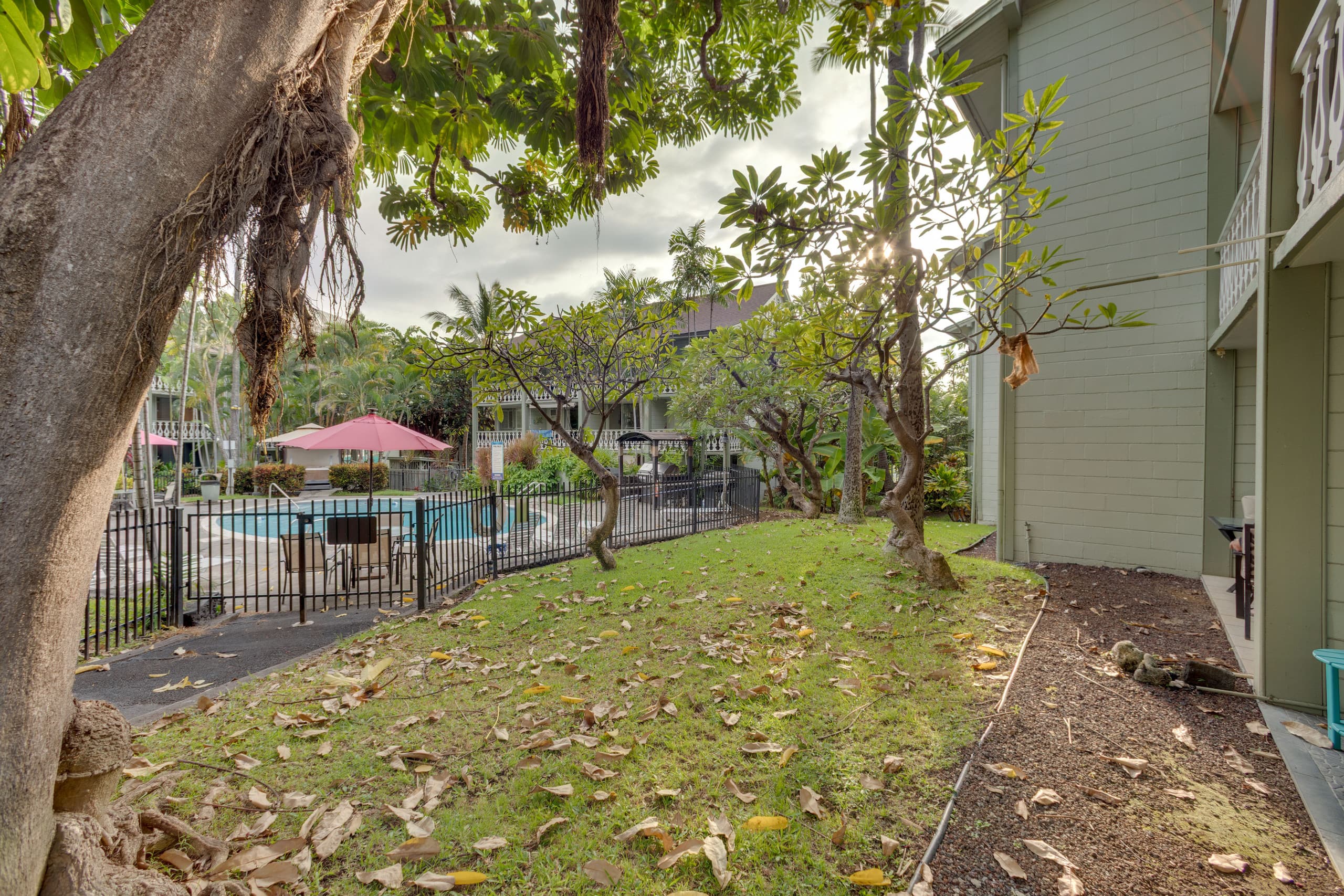 Kona Studio Steps From Shore: Sip, Swim, Explore! - Image 20