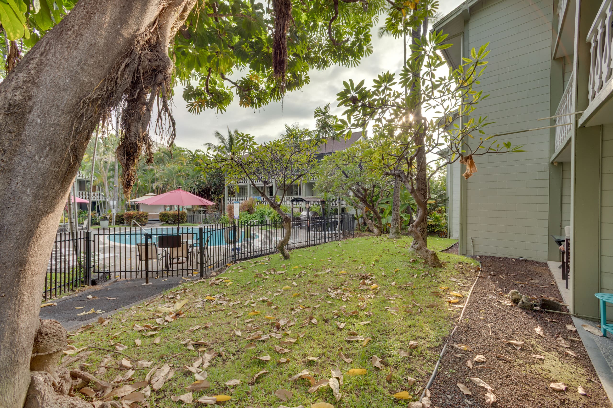 Kona Beach Retreat Steps to Ocean: Soak & Stroll! - Image 19