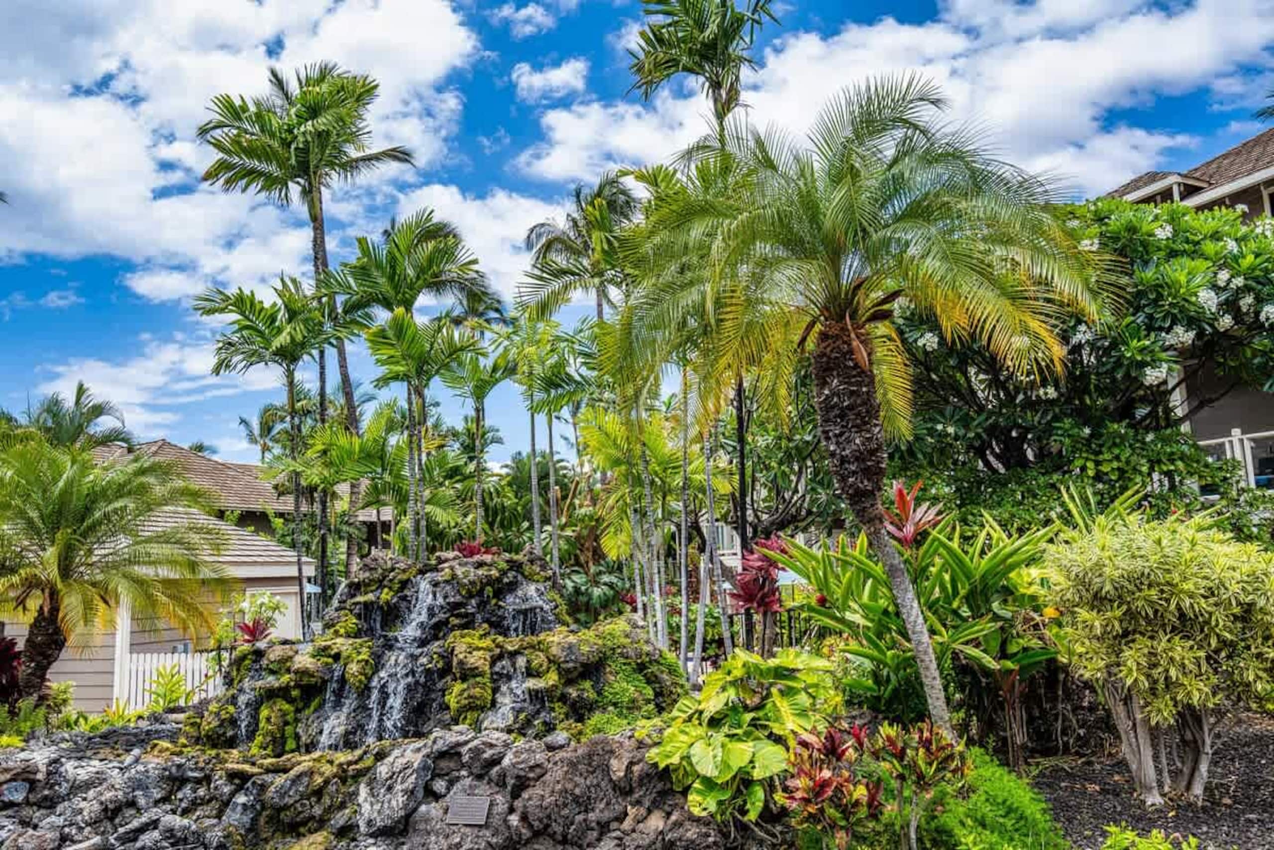 Condo in Wailea · ★4.75 · 1 bedroom · 2 beds · 1 bath - Image 60