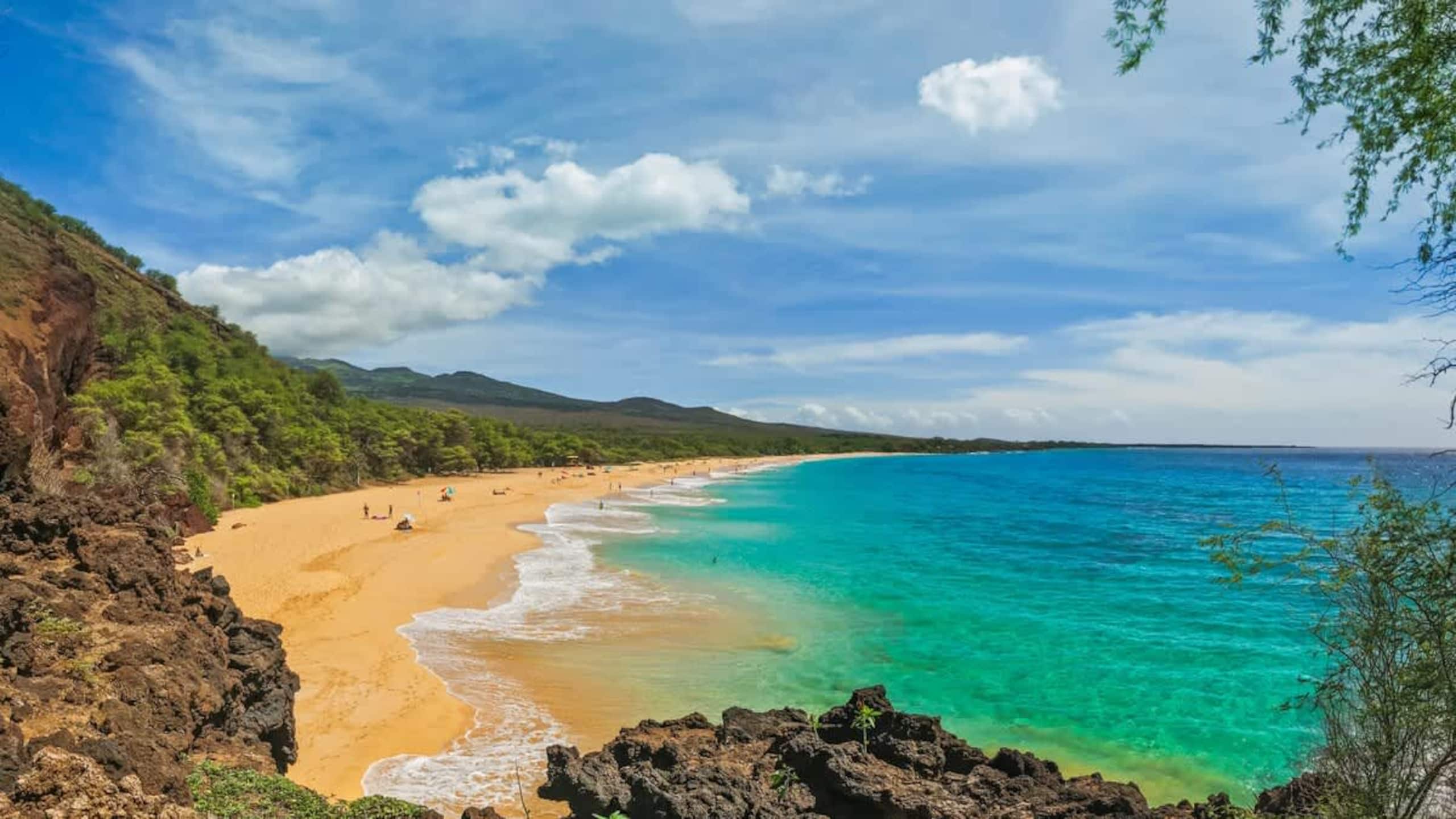 Condo in Wailea · ★4.75 · 1 bedroom · 2 beds · 1 bath - Image 52