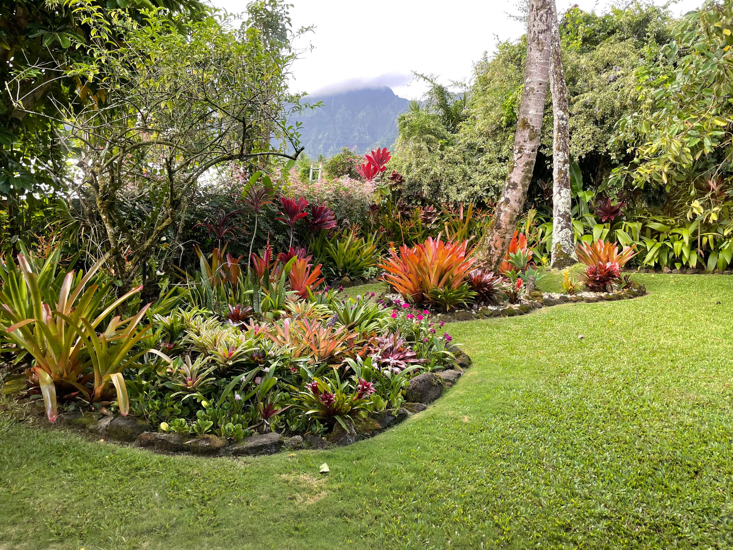 Home in Hanalei · ★4.86 · 2 bedrooms · 3 beds · 2 baths - Image 43