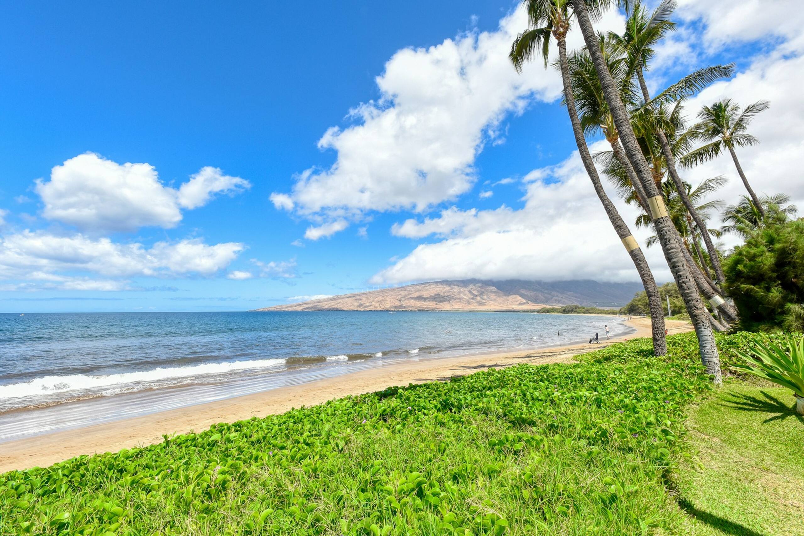 Condo in Kihei · ★5.0 · 1 bedroom · 2 beds · 1 private bath - Image 24