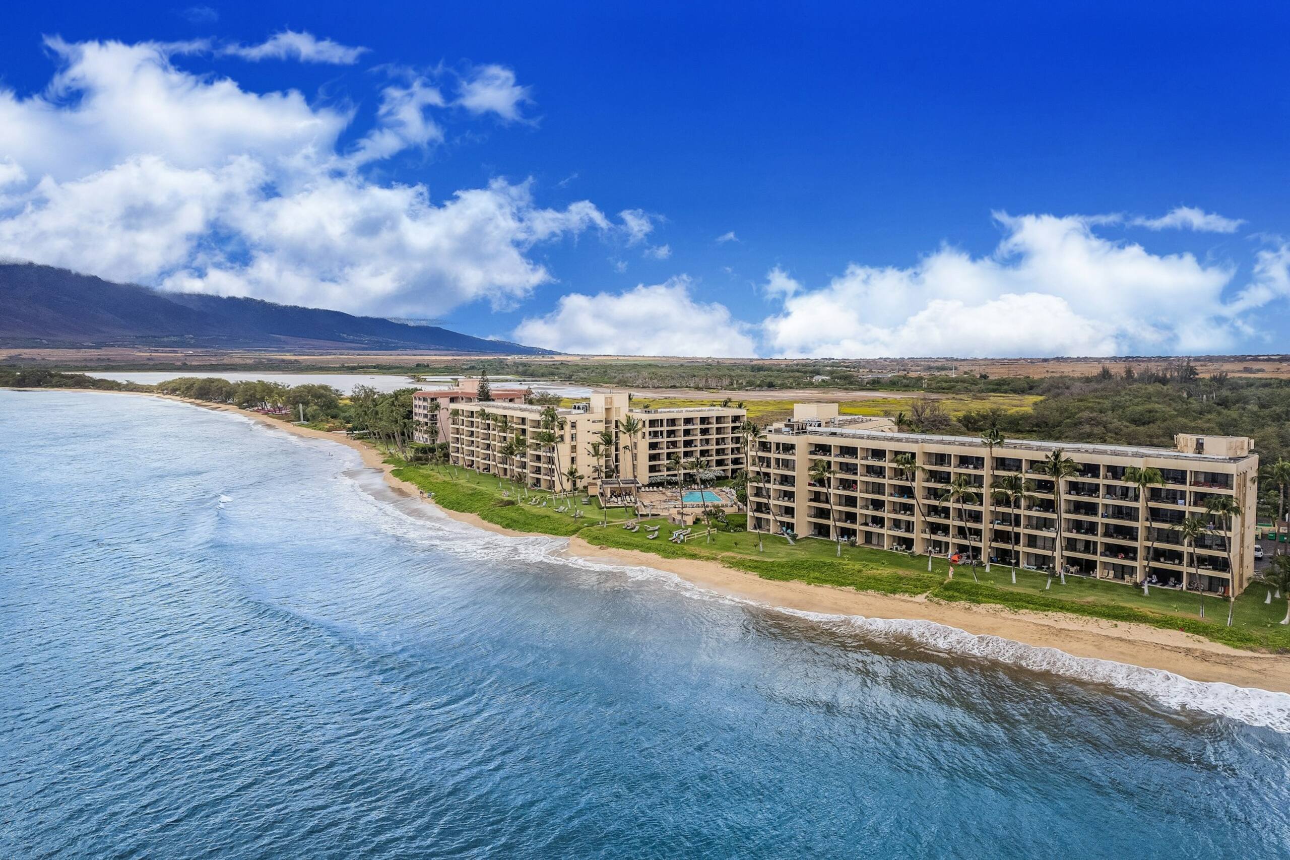 Condo in Kihei · ★5.0 · 1 bedroom · 2 beds · 1 private bath - Image 35