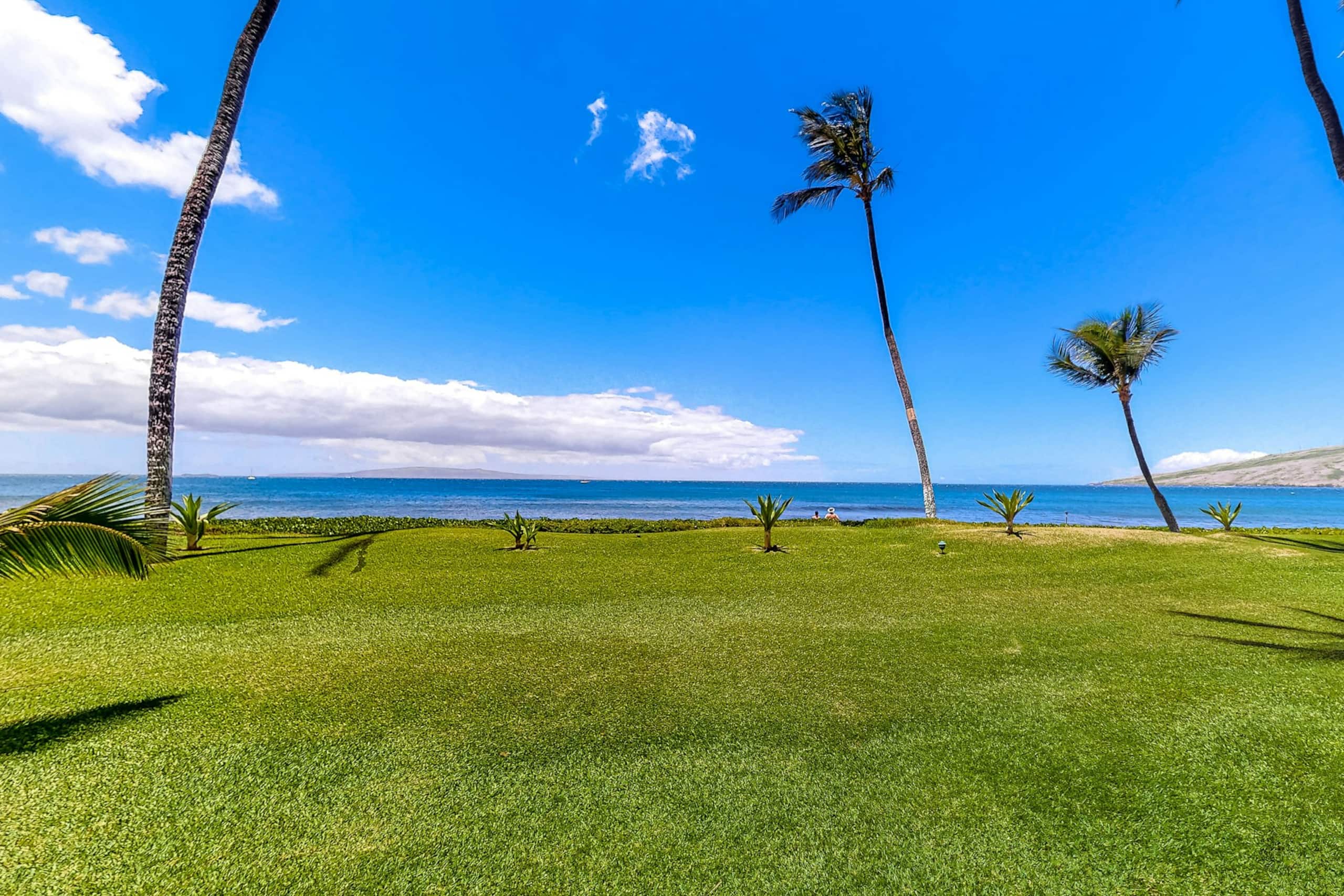 Condo in Kihei · ★5.0 · 1 bedroom · 2 beds · 1 private bath - Image 25