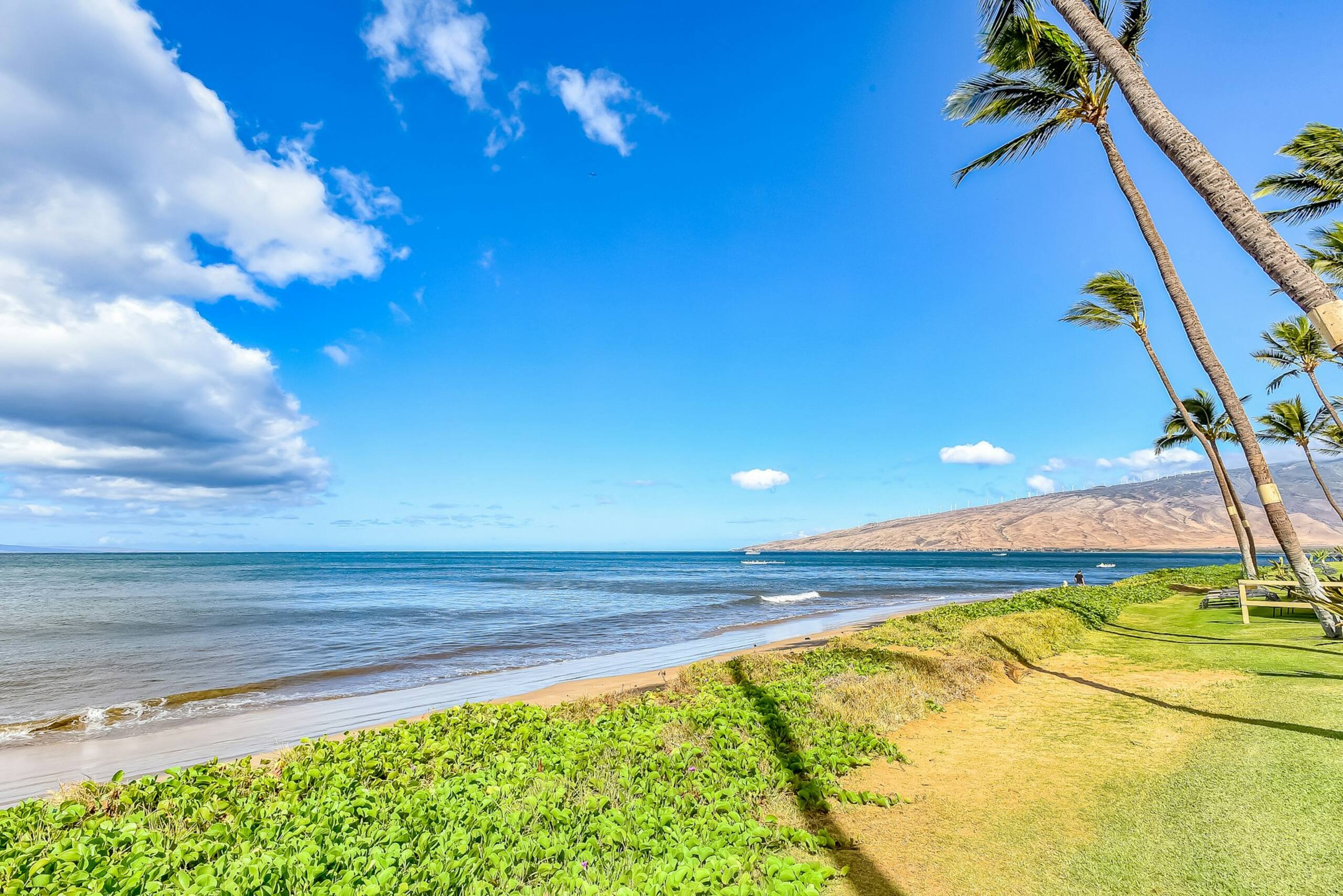 Condo in Kihei · ★5.0 · 1 bedroom · 2 beds · 1 private bath - Image 23