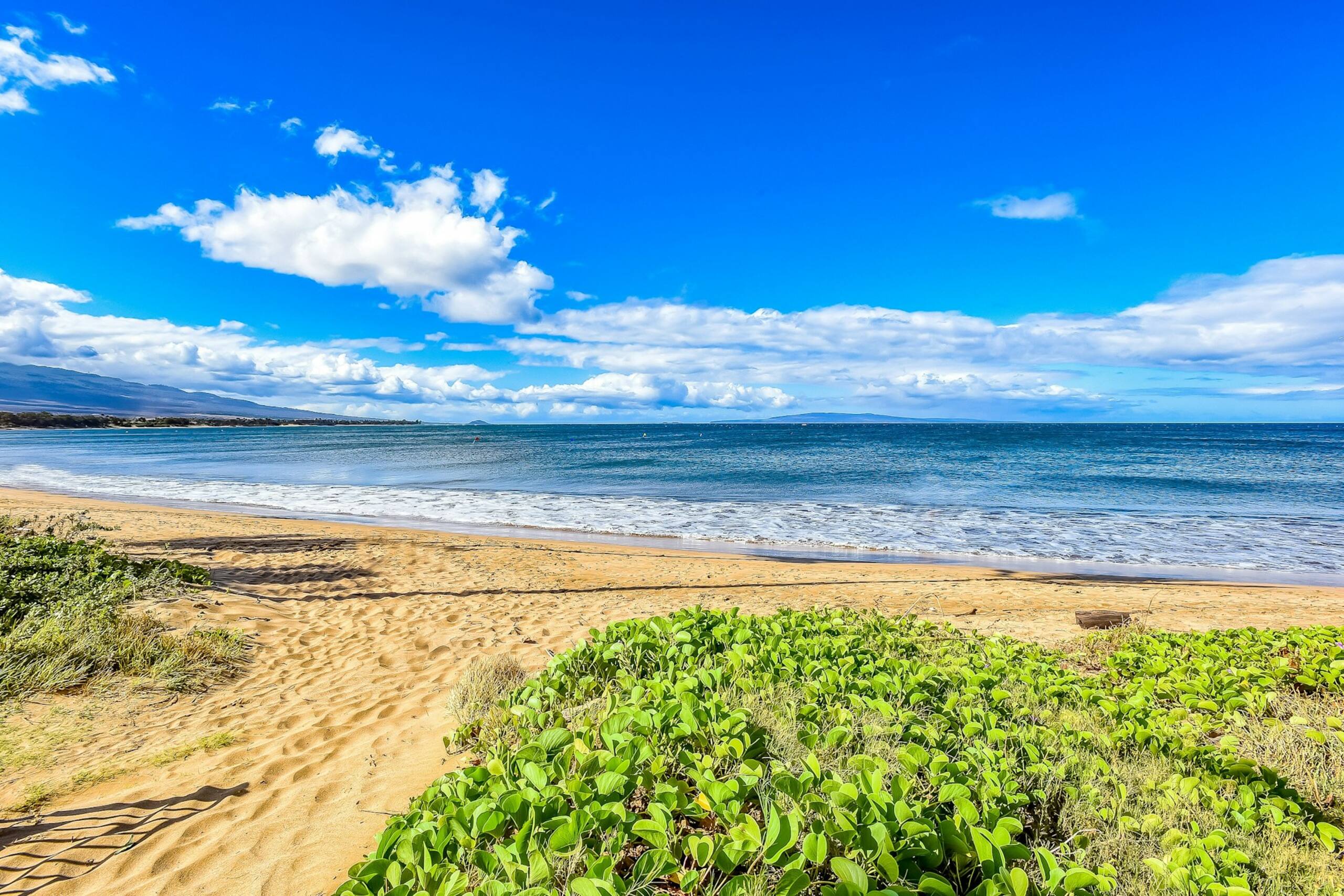 Condo in Kihei · ★5.0 · 1 bedroom · 2 beds · 1 private bath - Image 34