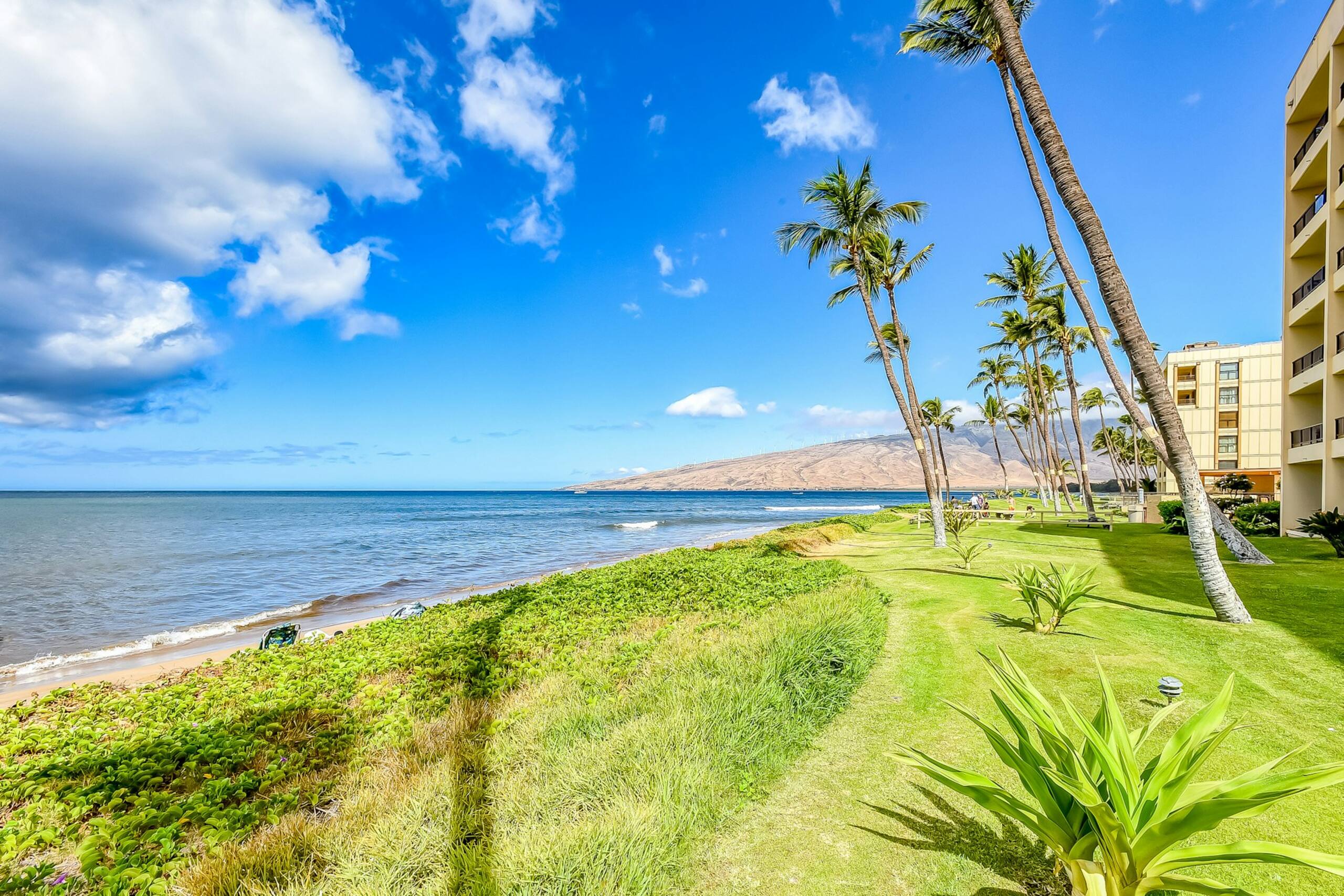 Condo in Kihei · ★5.0 · 1 bedroom · 2 beds · 1 private bath - Image 18
