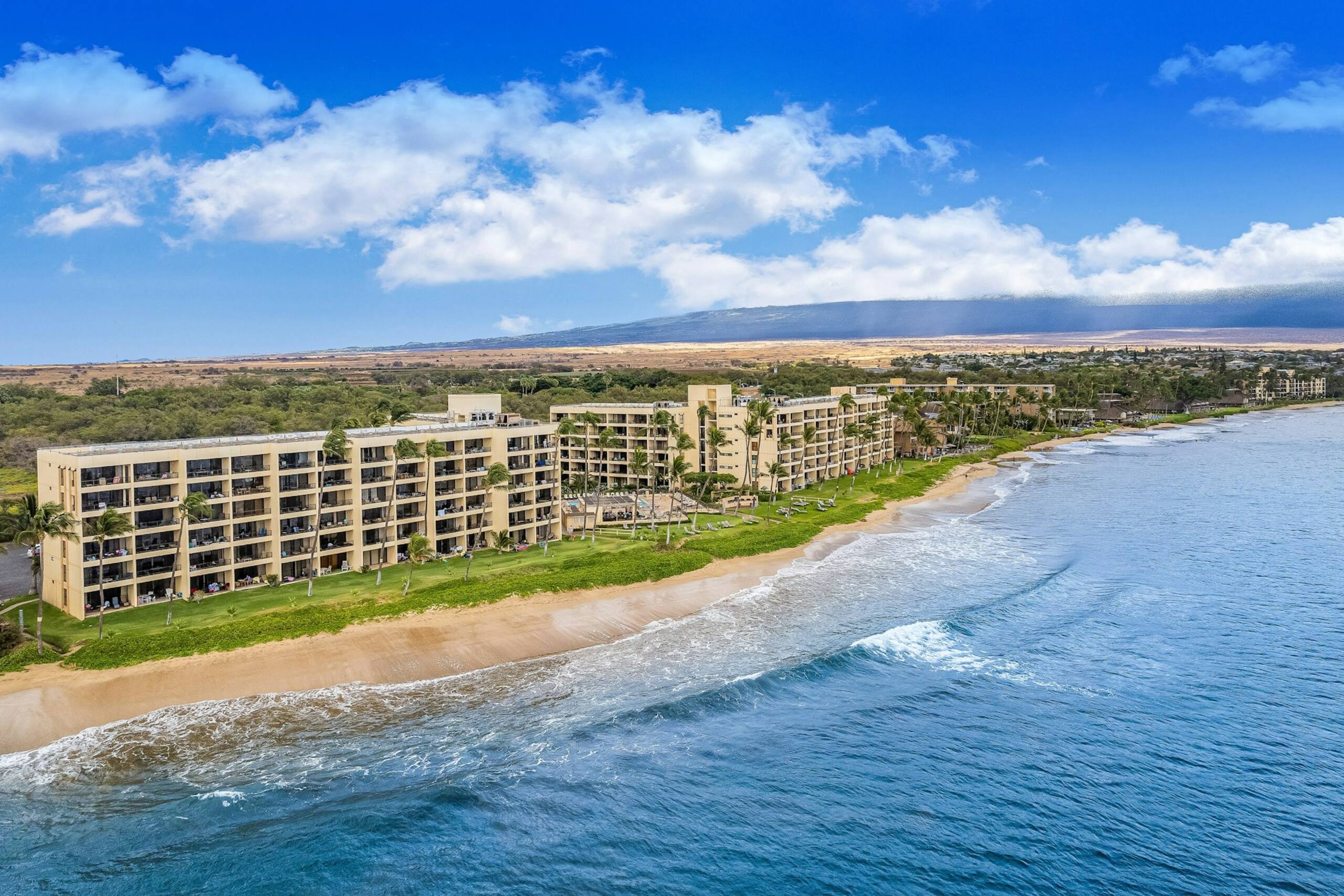 Condo in Kihei · ★5.0 · 1 bedroom · 2 beds · 1 private bath - Image 37