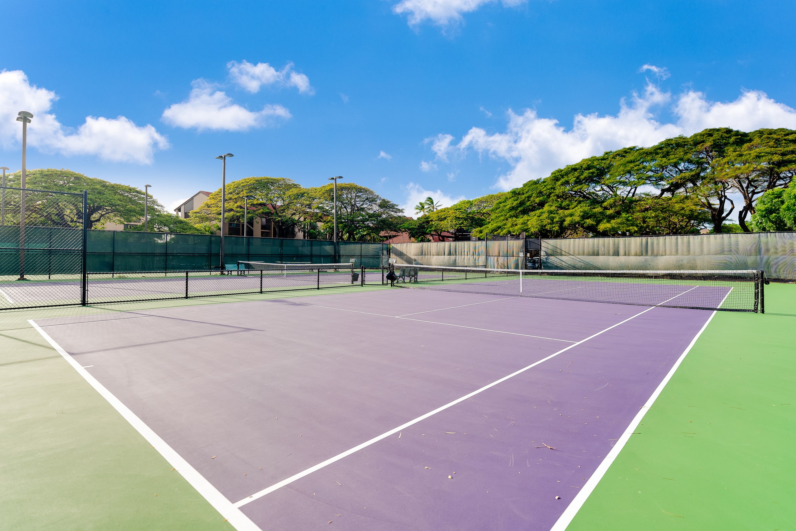 Condo in Lahaina · ★4.88 · 2 bedrooms · 3 beds · 2 baths - Image 43