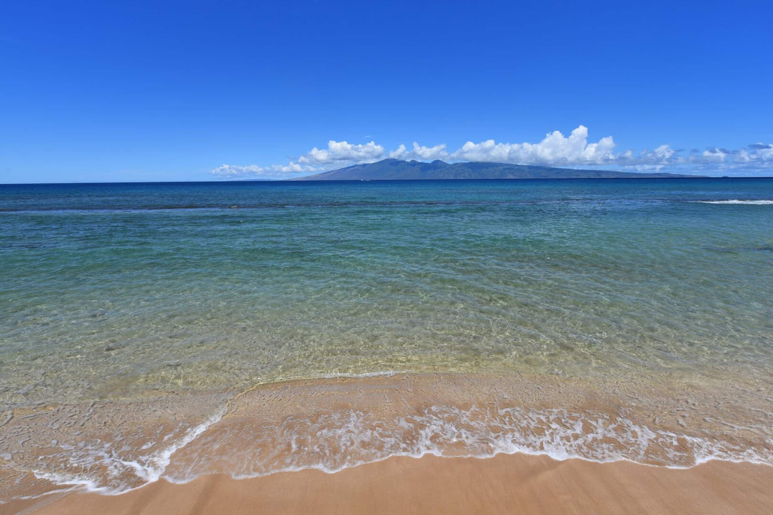 Condo in Lahaina · ★4.88 · 2 bedrooms · 3 beds · 2 baths - Image 56