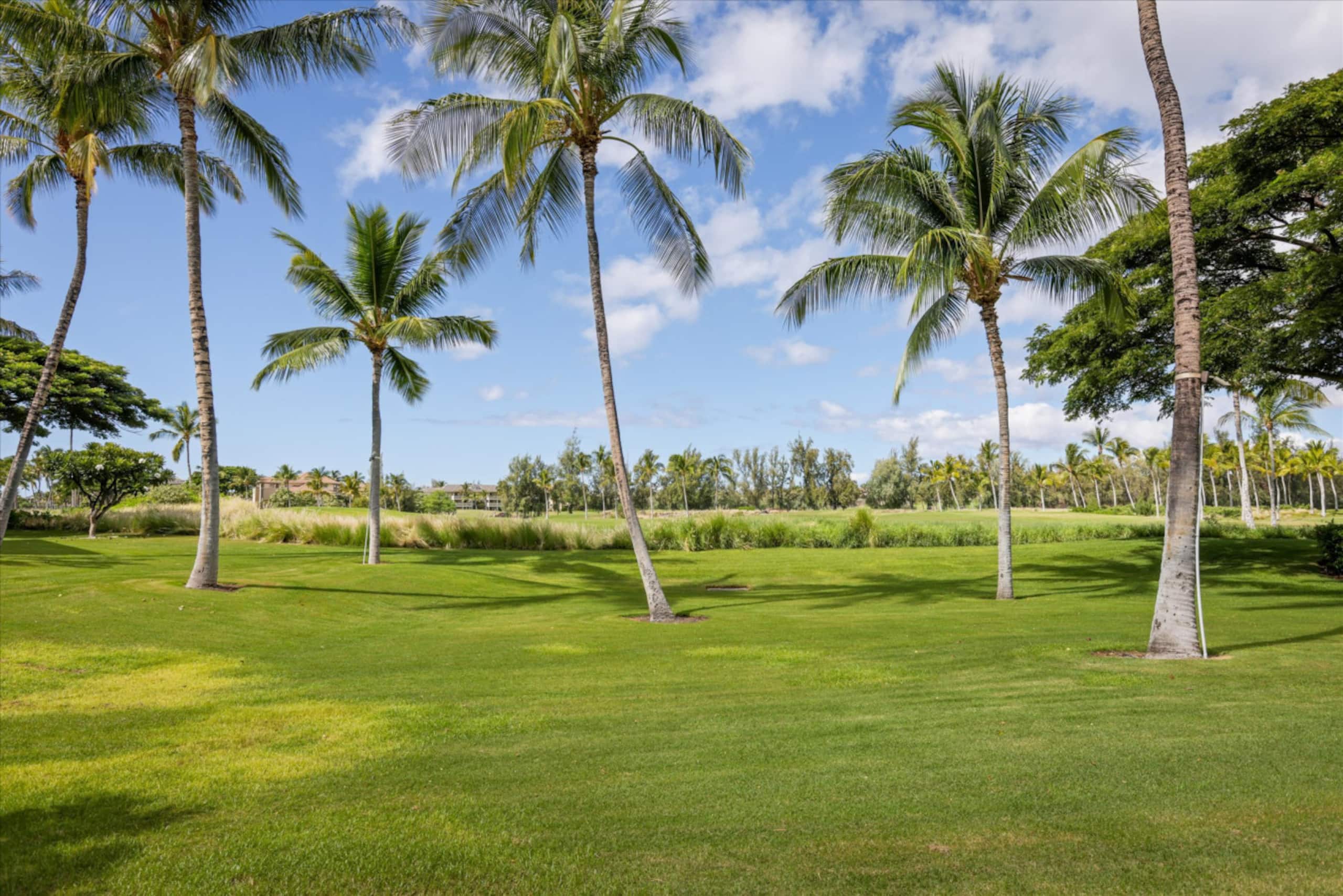 Condo in Waikoloa Village · ★4.6 · 2 bedrooms · 3 beds · 2.5 baths - Photo 35