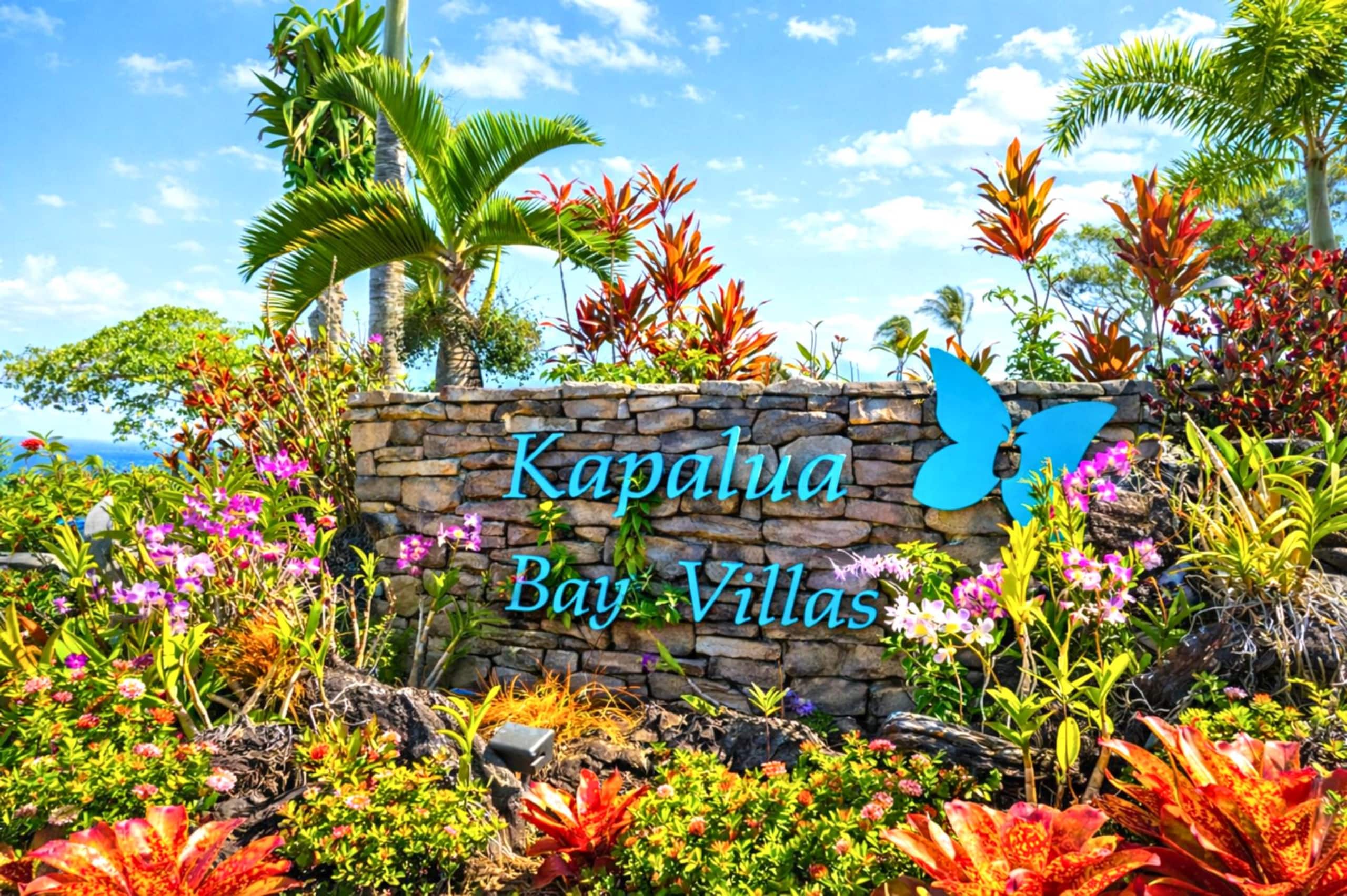 Condo in Lahaina · ★5.0 · 1 bedroom · 2 beds · 1 bath - Image 34