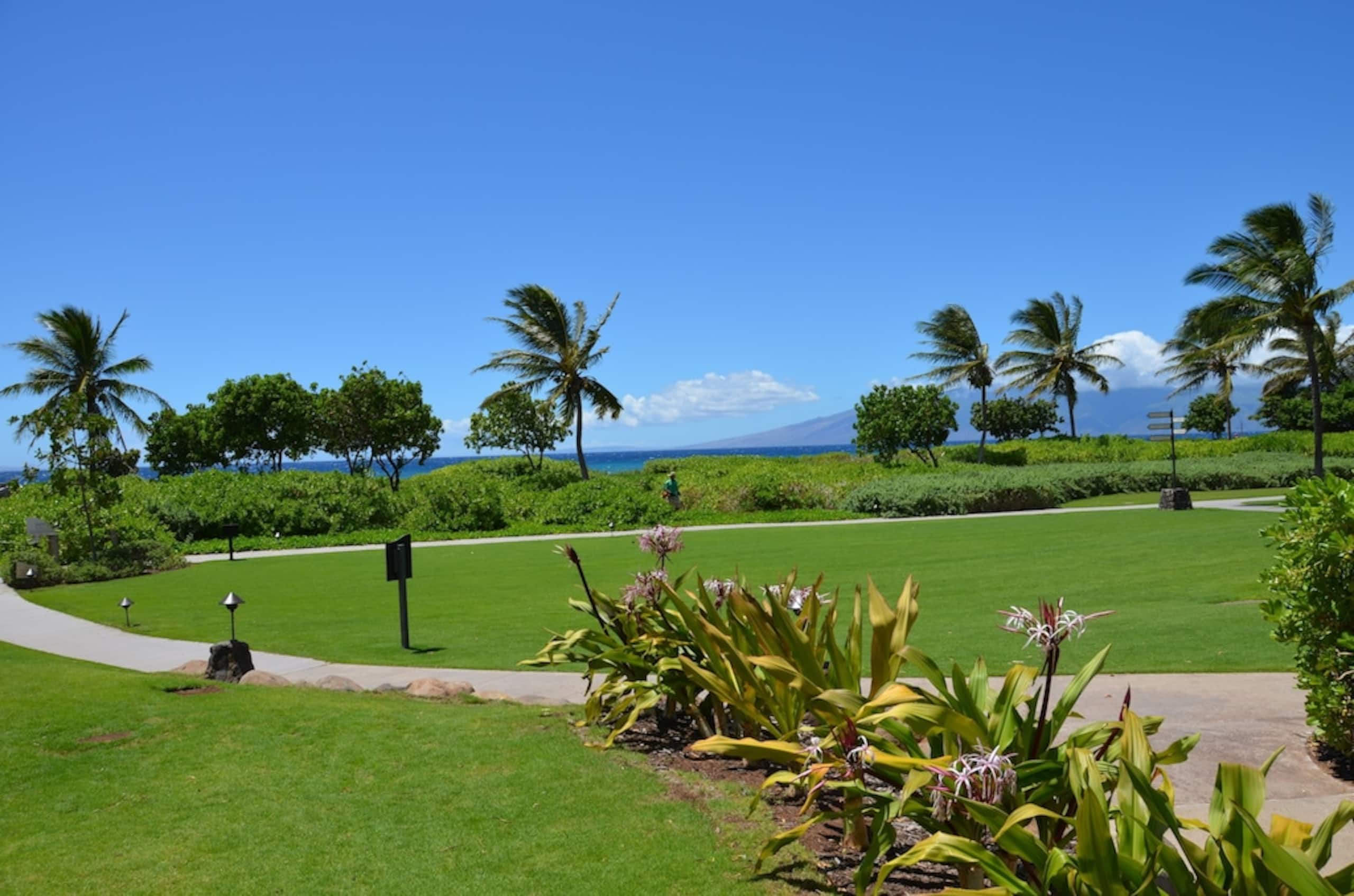 Condo in Lahaina · ★4.94 · 2 bedrooms · 2 beds · 1 bath - Image 29
