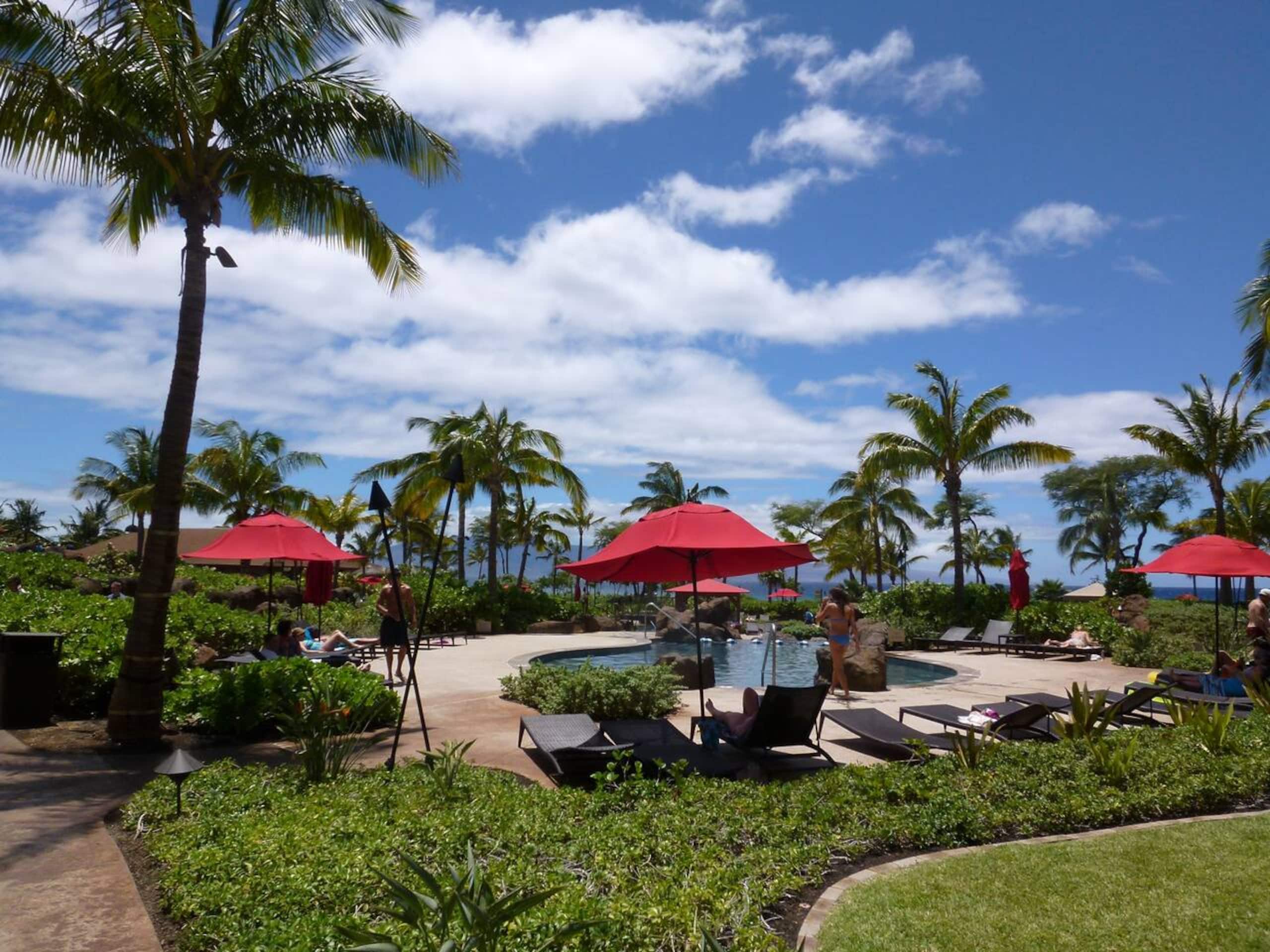 Condo in Lahaina · ★4.94 · 2 bedrooms · 2 beds · 1 bath - Image 26