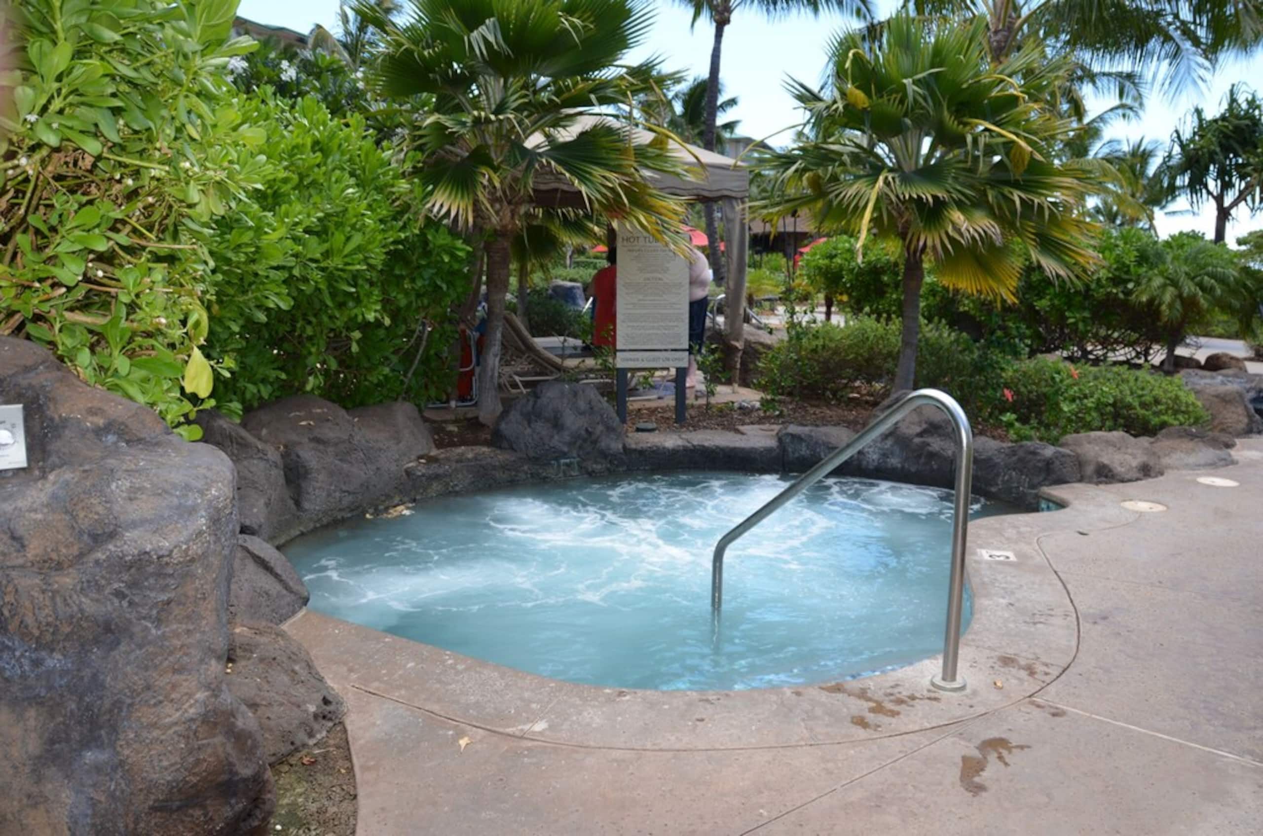 Condo in Lahaina · ★4.94 · 2 bedrooms · 2 beds · 1 bath - Image 24