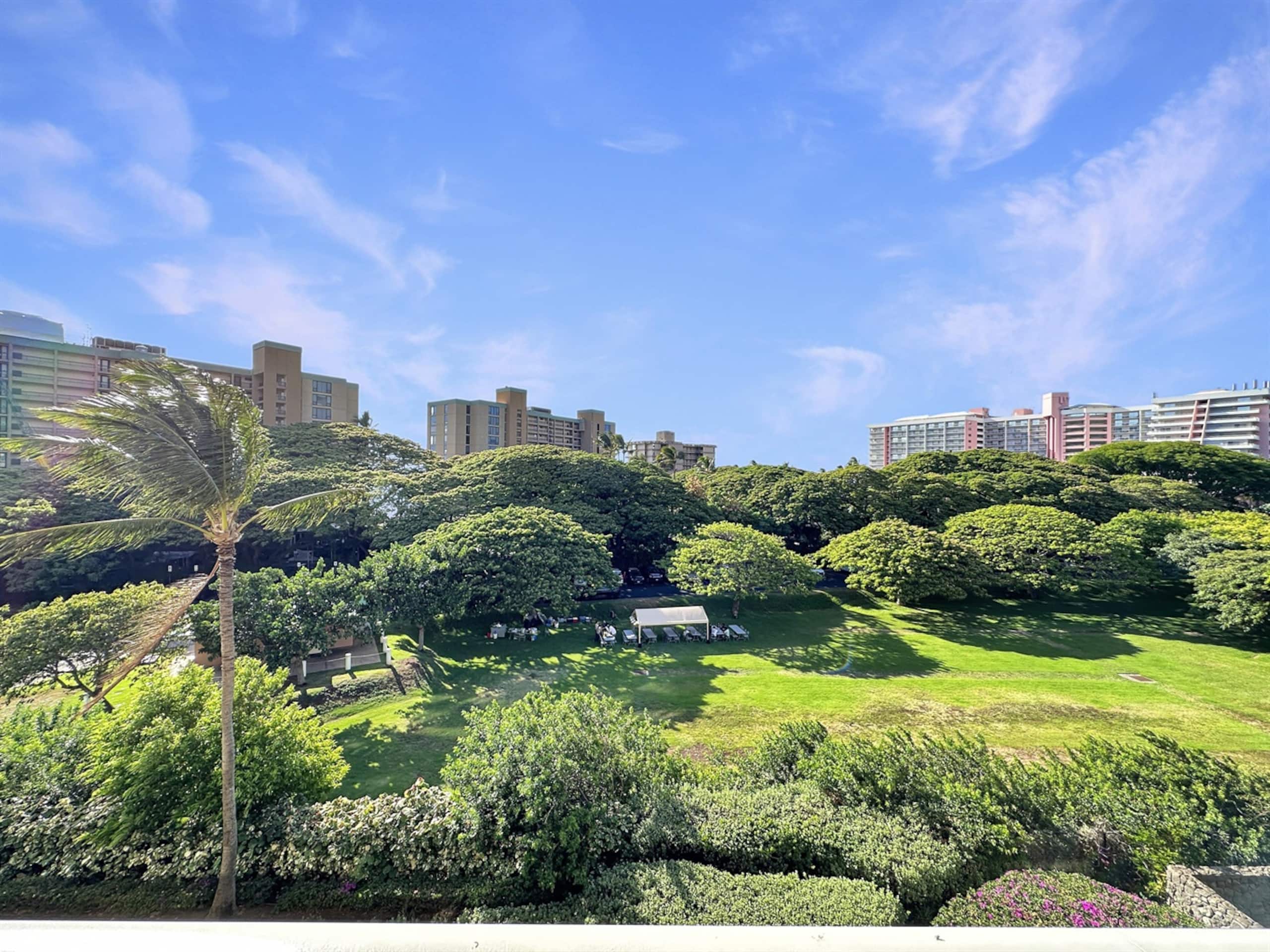 Condo in Lahaina · ★4.94 · 2 bedrooms · 2 beds · 1 bath - Image 18