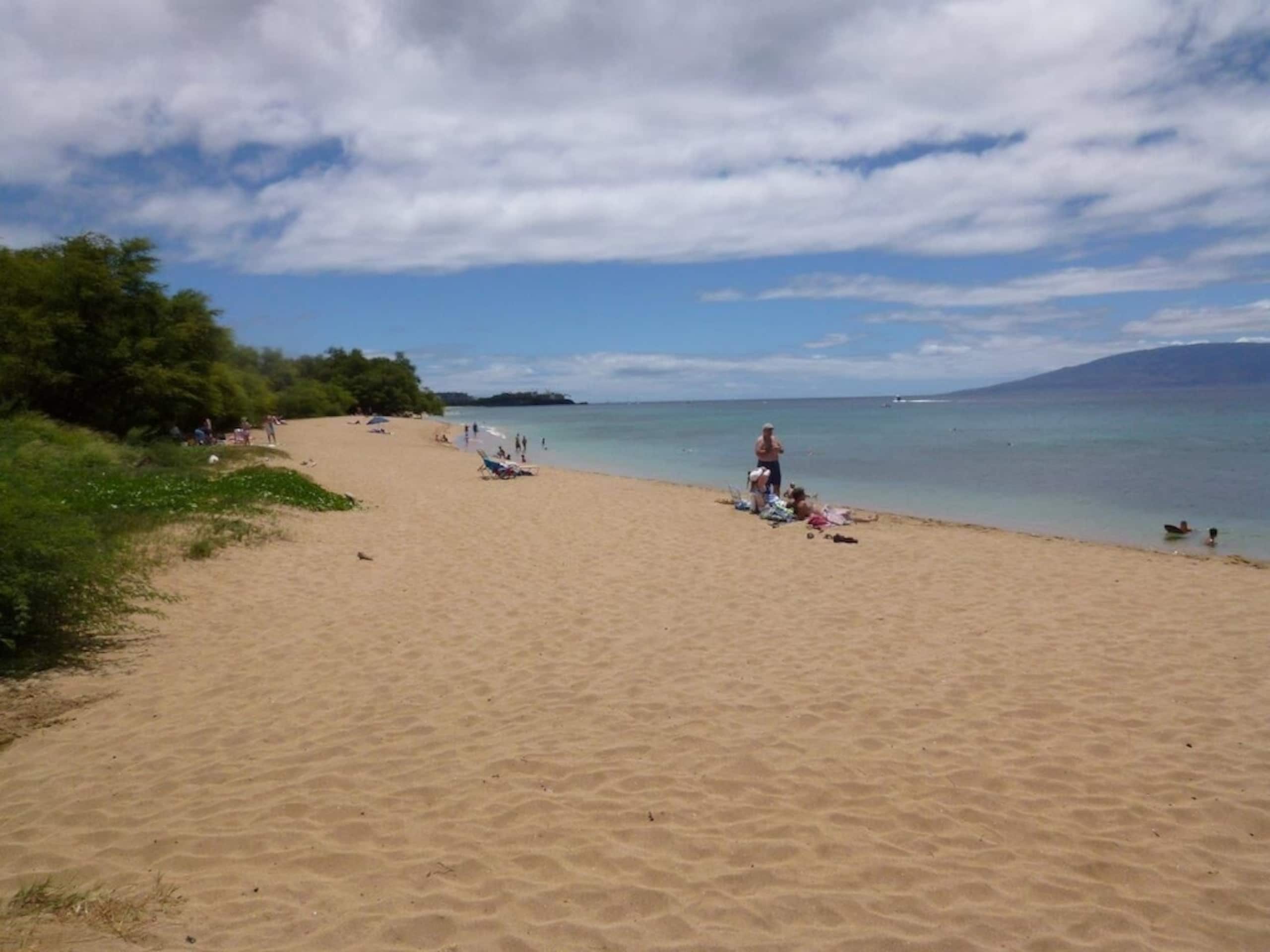 Condo in Lahaina · ★4.94 · 2 bedrooms · 2 beds · 1 bath - Image 31