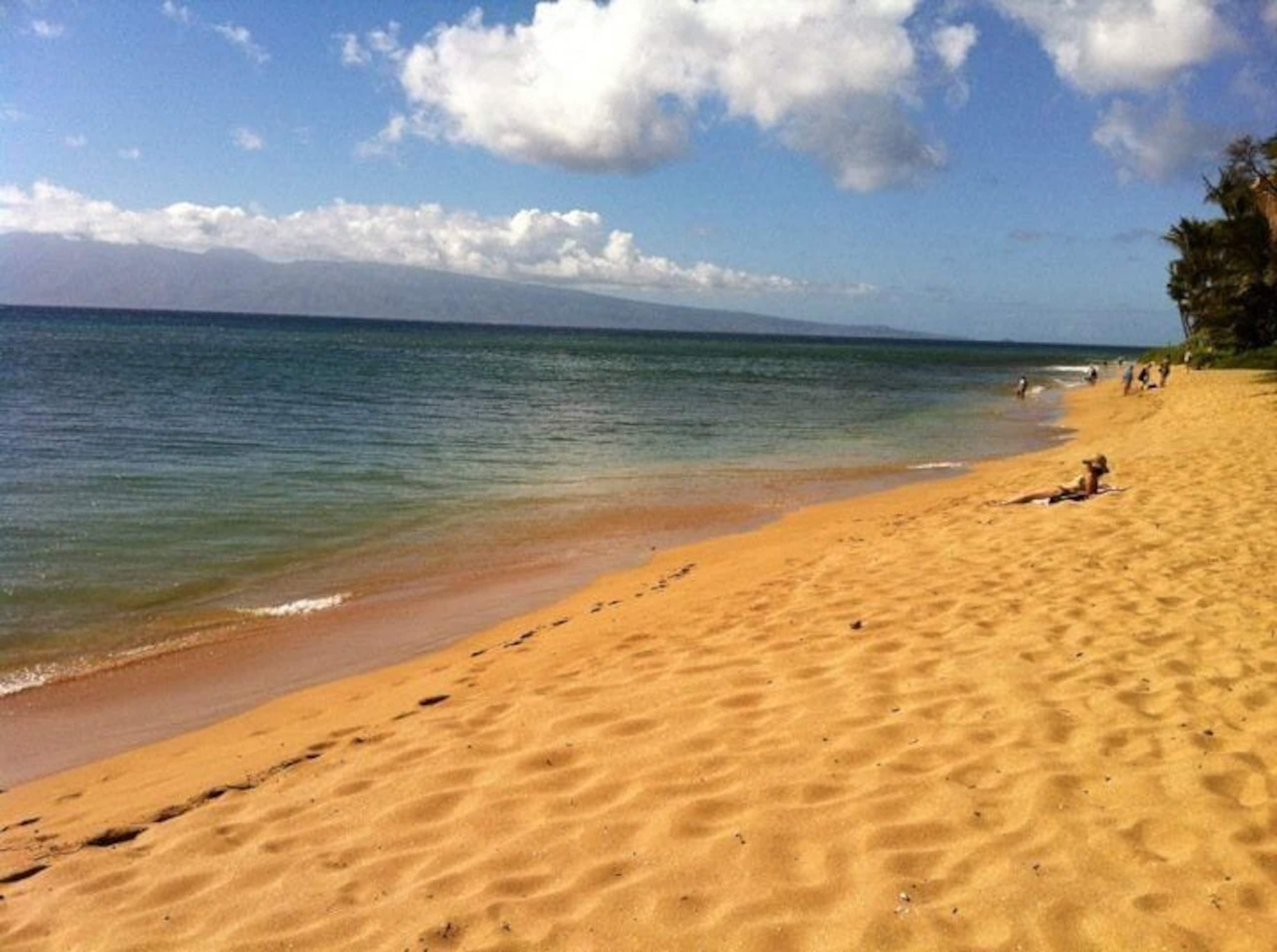 Condo in Lahaina · ★4.94 · 2 bedrooms · 2 beds · 1 bath - Image 30