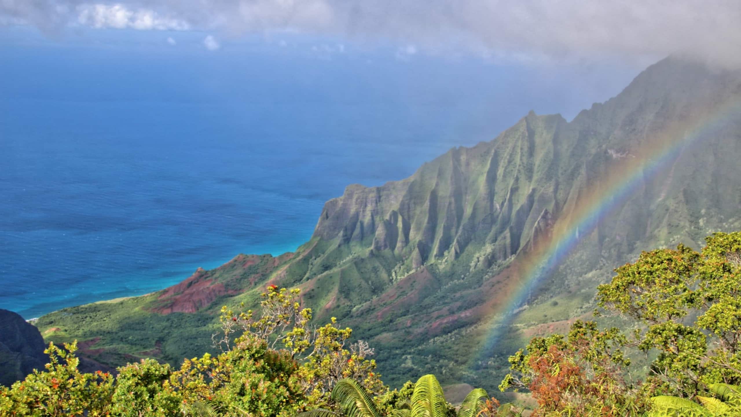 Home in Koloa · ★4.88 · 4 bedrooms · 5 beds · 3 baths - Photo 30