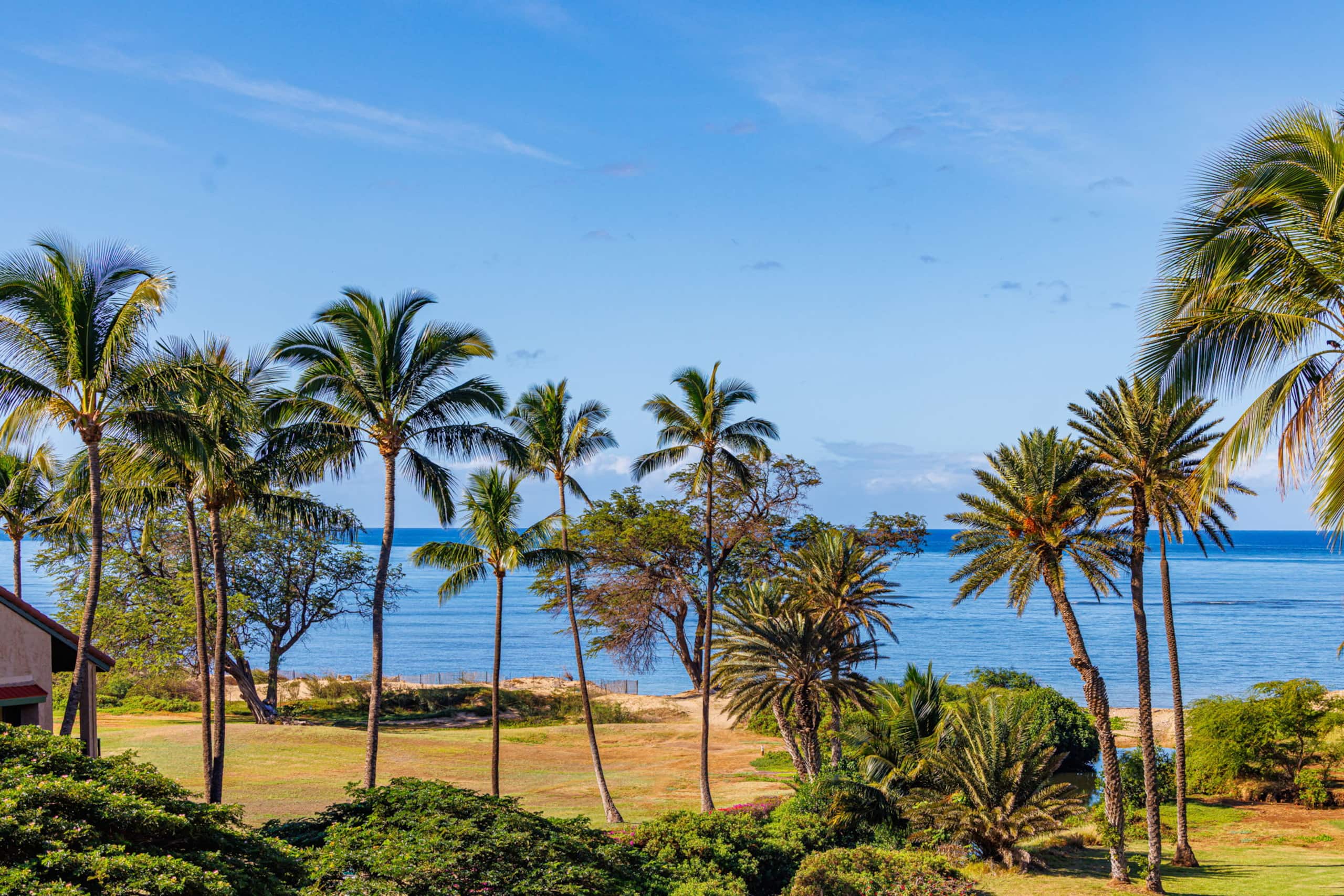 Hip Oceanfront Resort Vistas - Image 39