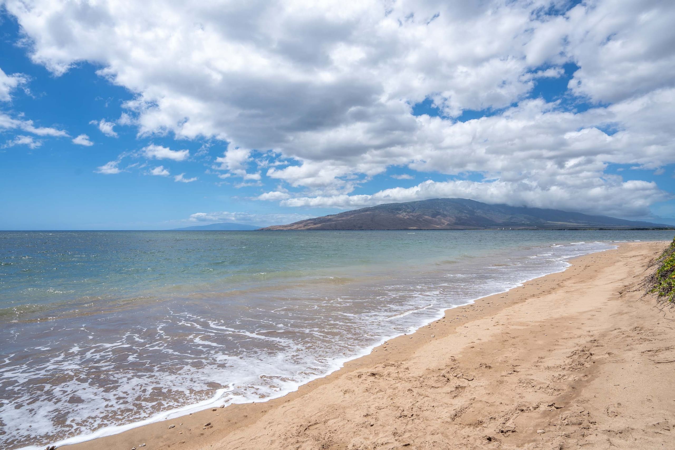 Hip Oceanfront Resort Vistas - Image 51