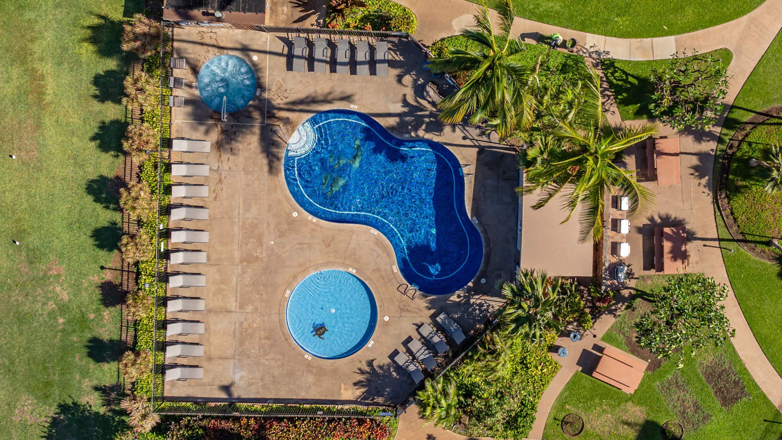 Hip Oceanfront Resort Vistas - Image 43