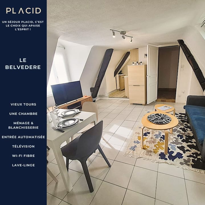 Le Belvédère - Vieux Tours - T2 - Wifi - Tv - Tours