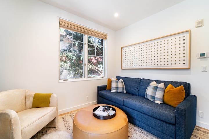 סלון עם ספה נפתחת זוגית.