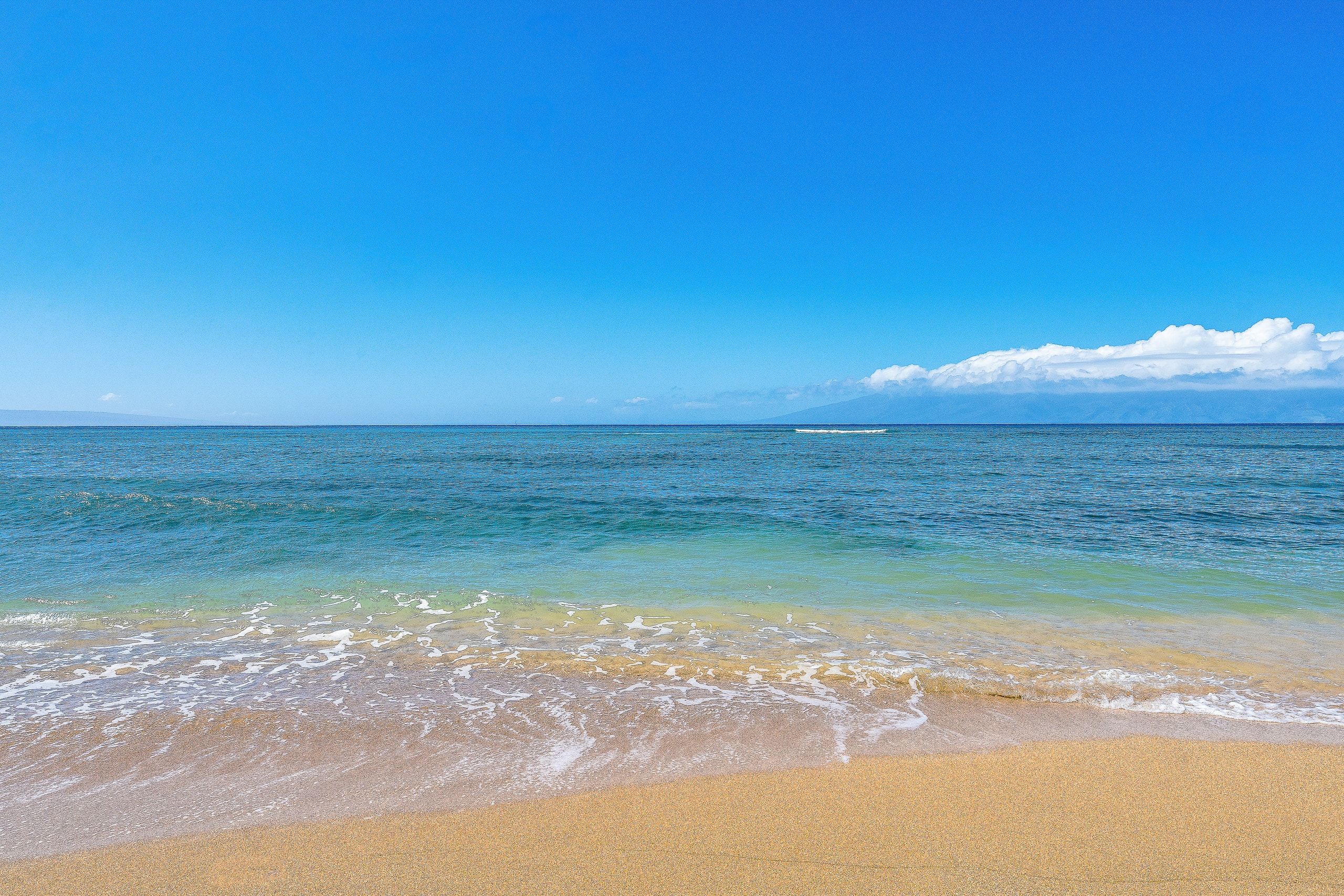 Condo in Lahaina · ★4.0 · 1 bedroom · 2 beds · 1 bath - Image 51