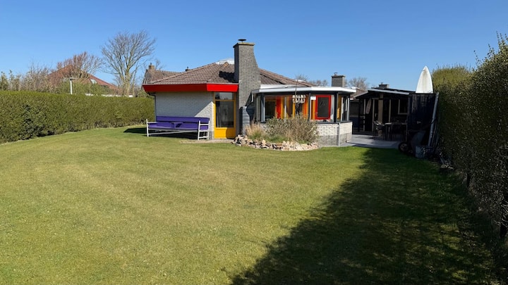 Zeester 249 - Texel