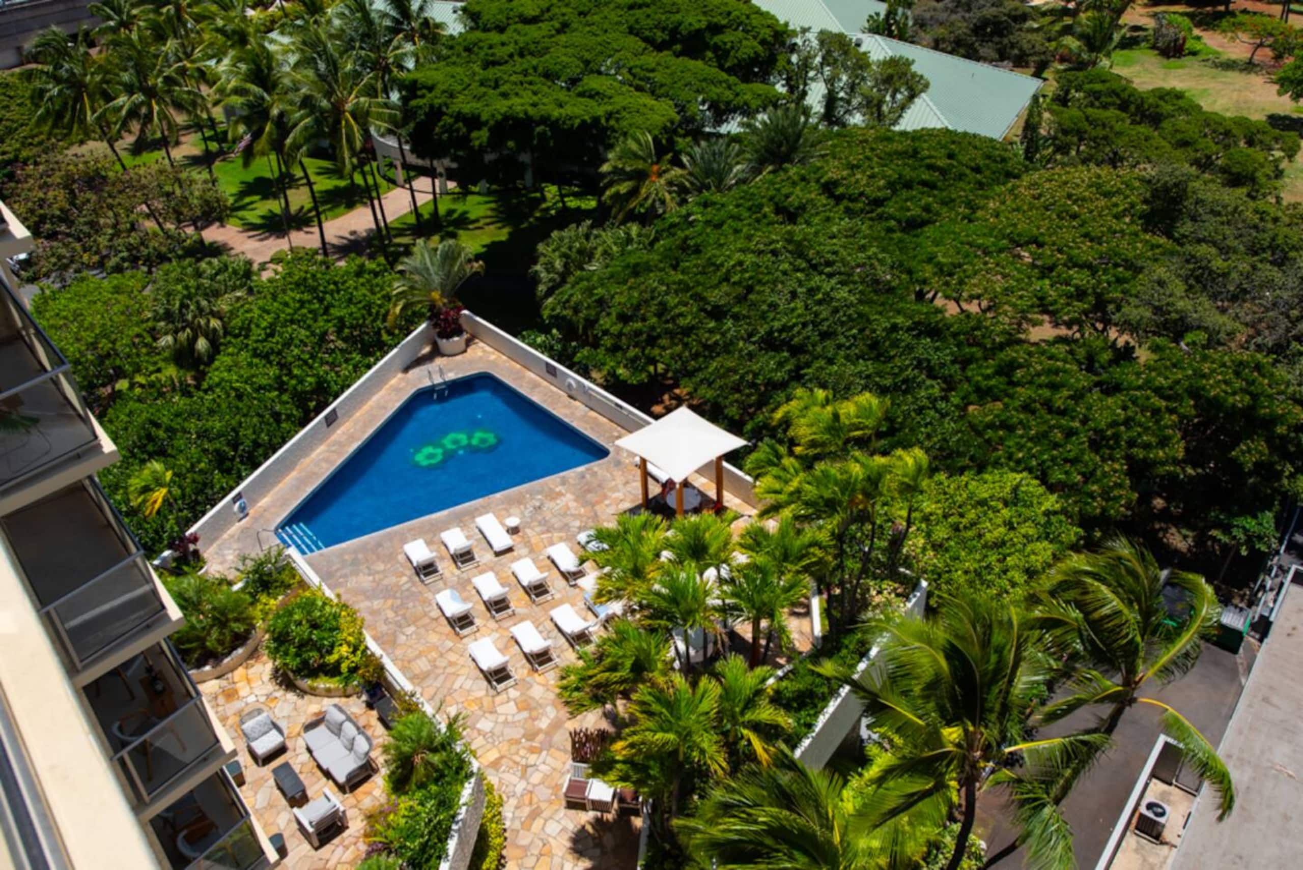 Cozy Waikiki Studio, Pool, Gym & BBQ - Image 4