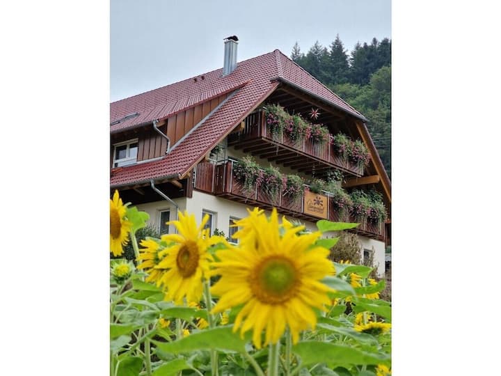 Appartement De Vacances N° 4 - Oppenau