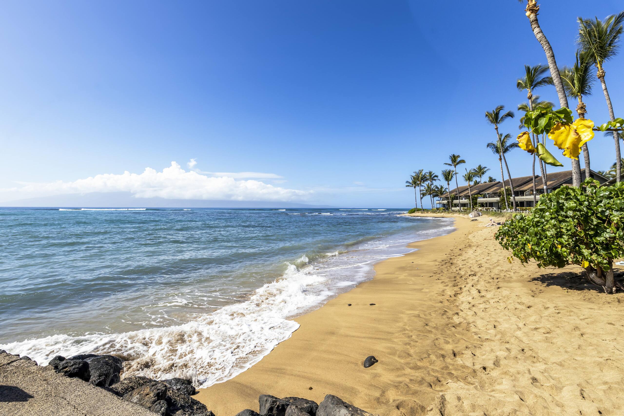 Condo in Lahaina · ★4.75 · 3 bedrooms · 7 beds · 2 baths - Image 14