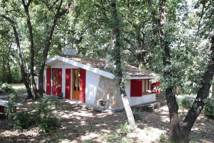 Chalet Chaleureux à Lavinaio - Milo
