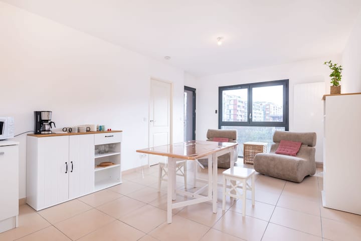 Le Duclos - Appartement Spacieux Et Lumineux - リヨン