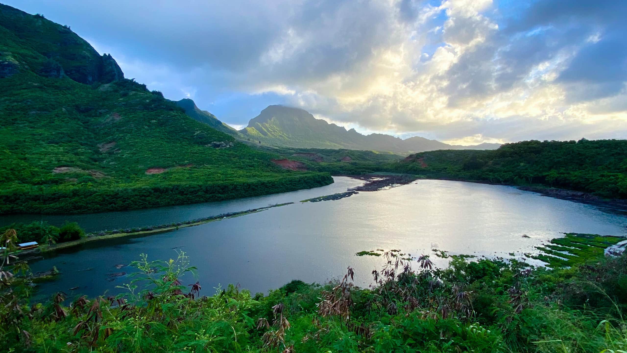 Hotel in Lihue · ★4.67 · 1 bedroom · 1 private bath - Image 27