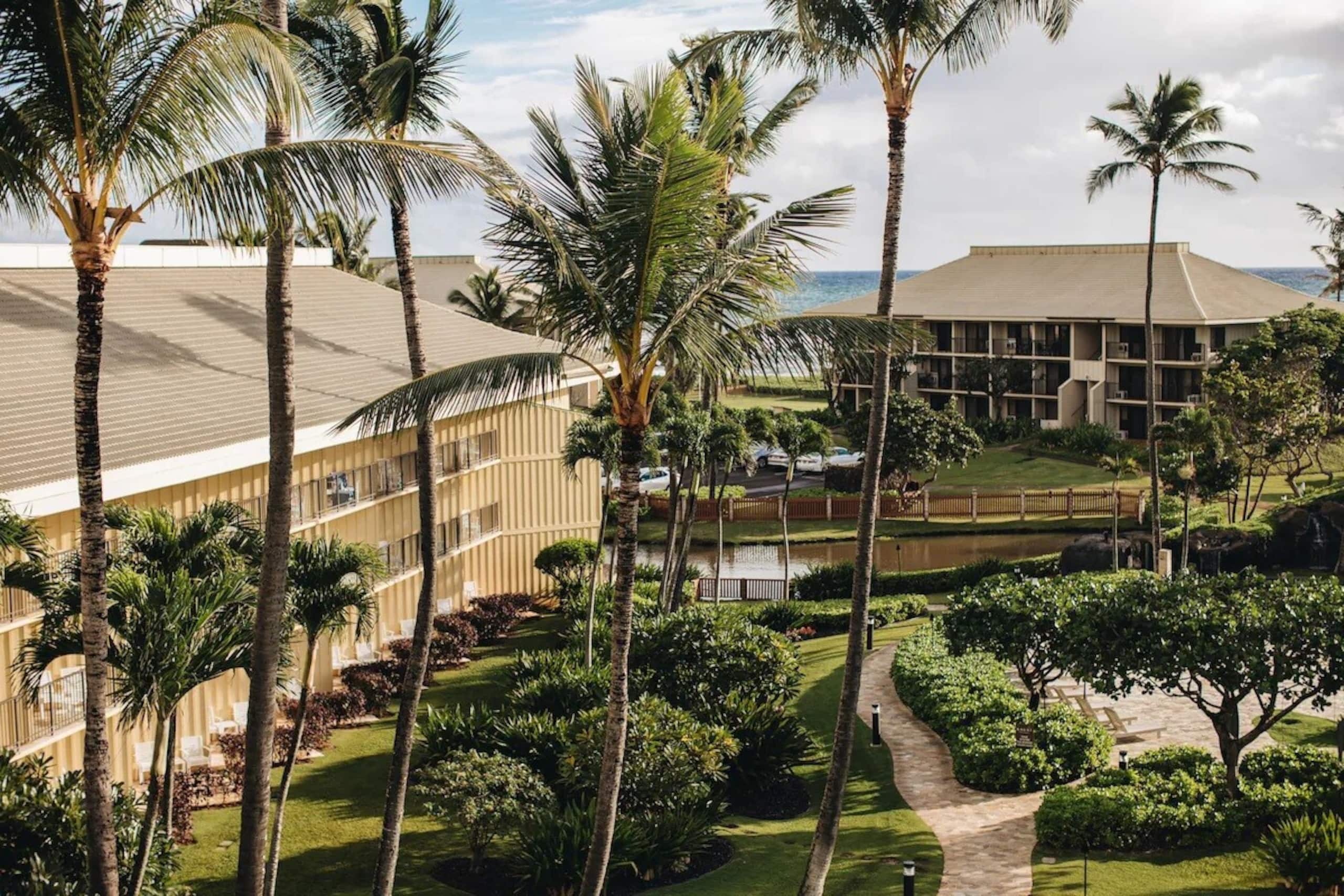 Hotel in Lihue · ★4.67 · 1 bedroom · 1 private bath - Image 36