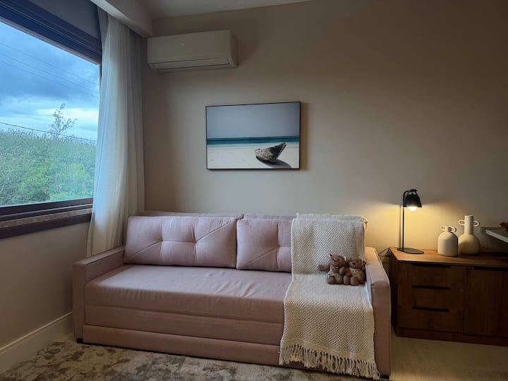 סוויטה 5 - ספה נפתחת 