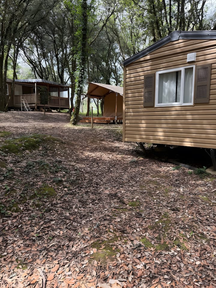 Mobil-home Le Castelnaud 21- 5 Pers - Carsac-Aillac